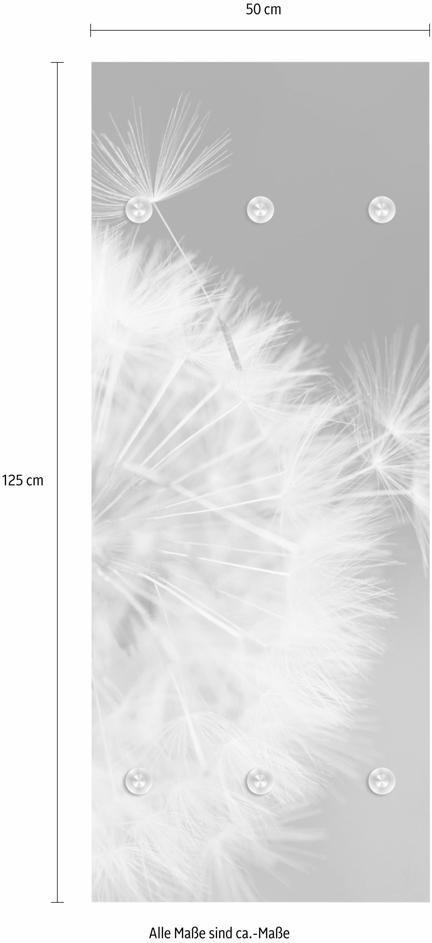 queence Barre de penderie »Pusteblume in gross« mit 6 Haken, 50 x 120 cm