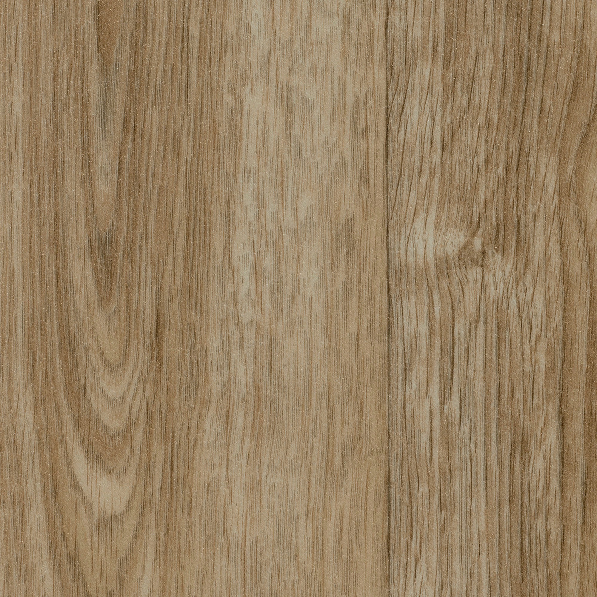 Image of Bodenmeister Vinylboden »PVC Bodenbelag Holzoptik Diele Eiche hell-braun«, Meterware, Breite 200/300/400 cm bei Ackermann Versand Schweiz