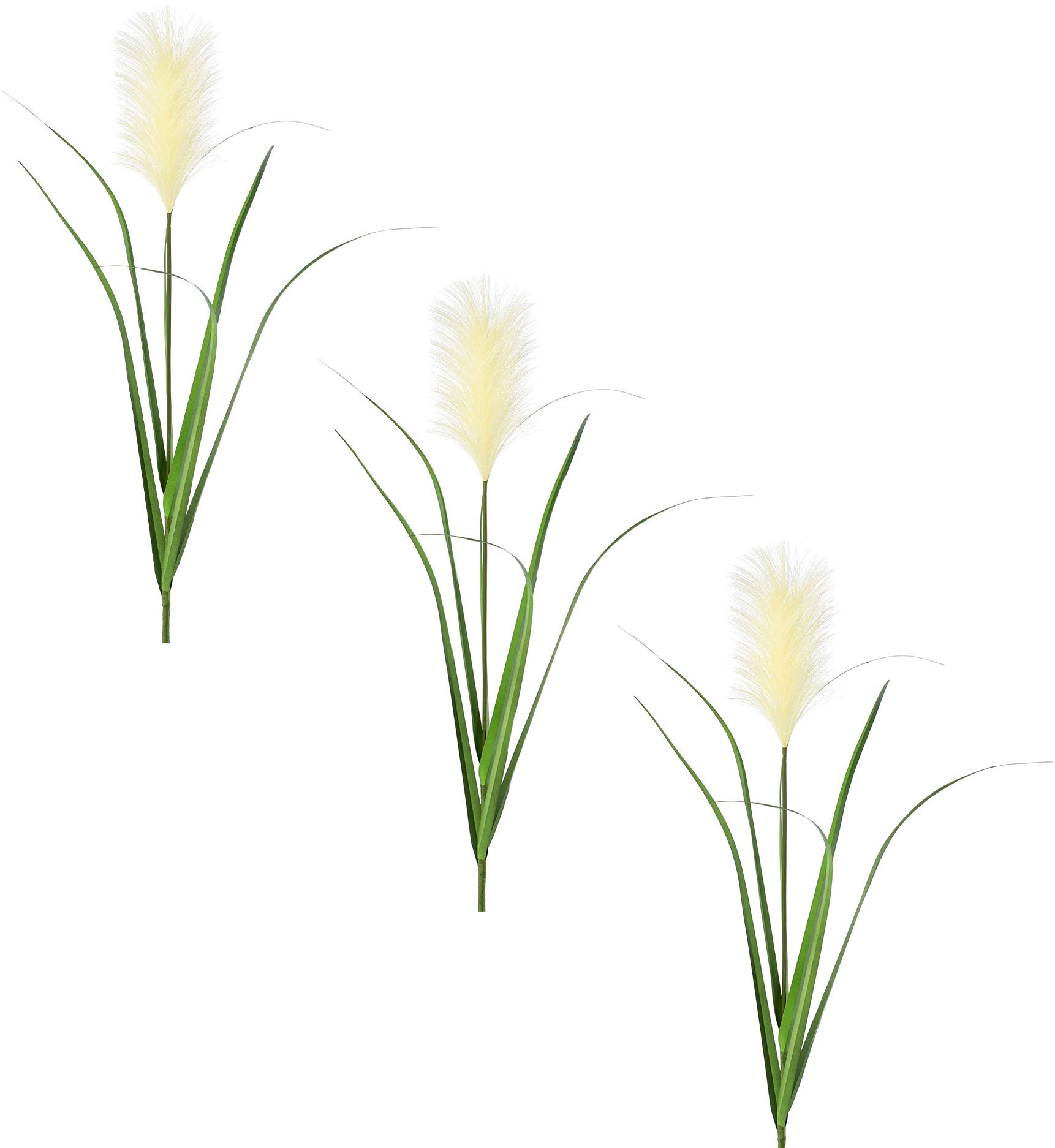 Image of Creativ green Kunstzweig »Pampasgras«, (3 St.) bei Ackermann Versand Schweiz