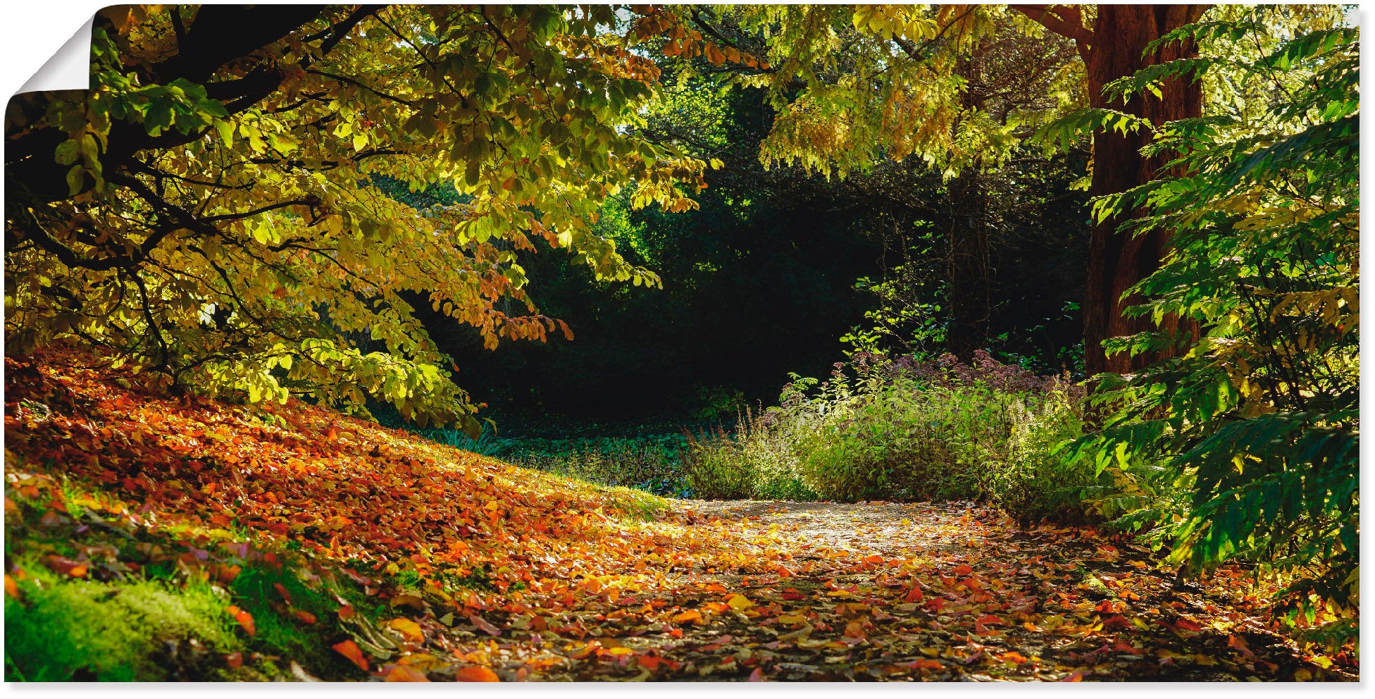 Artland Poster »Herbstteppich«, Wald, (1 St.), als Leinwandbild, Wandaufkleber oder Poster in versch. Grössen