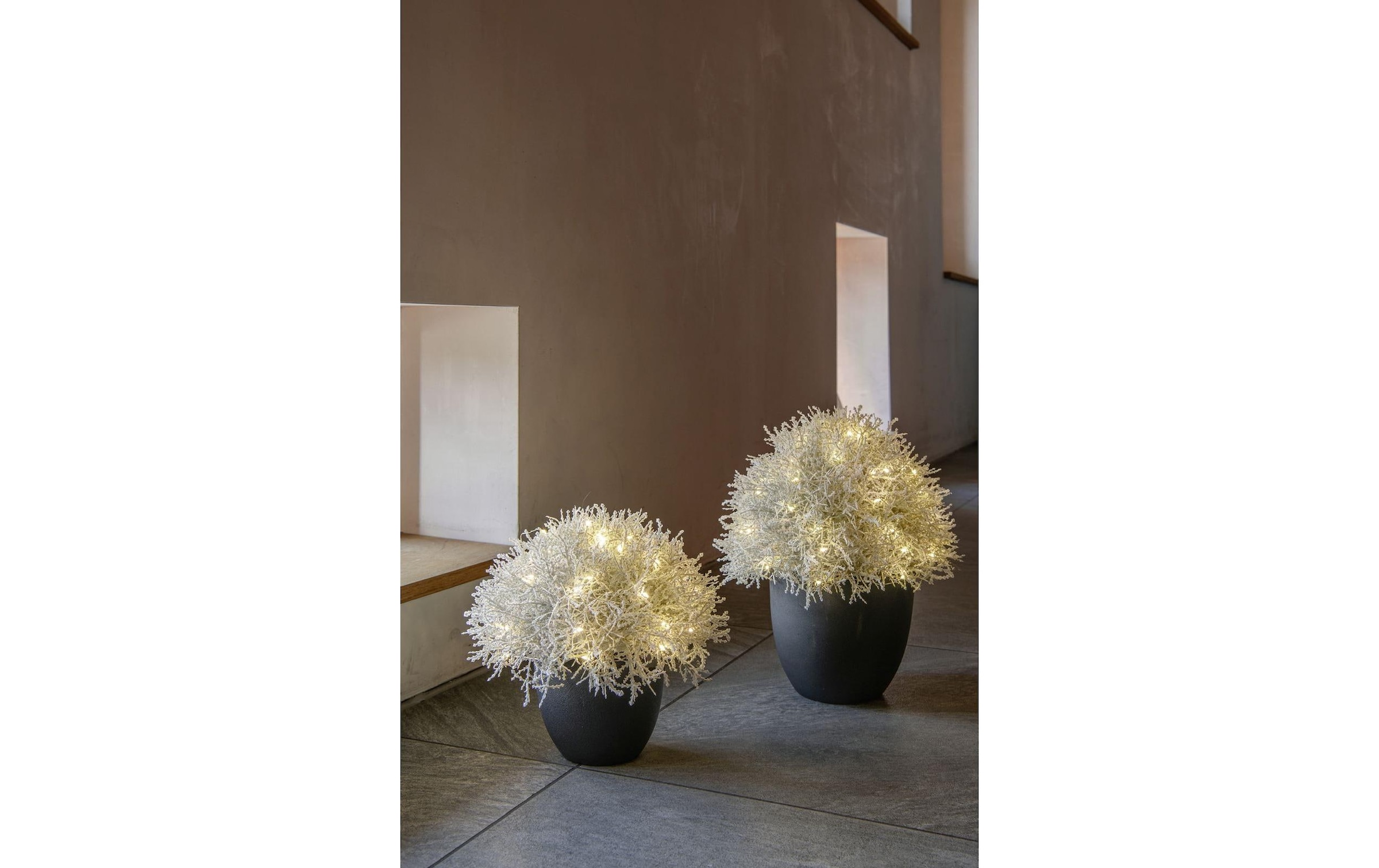 STT Arbre LED »Calo 35«