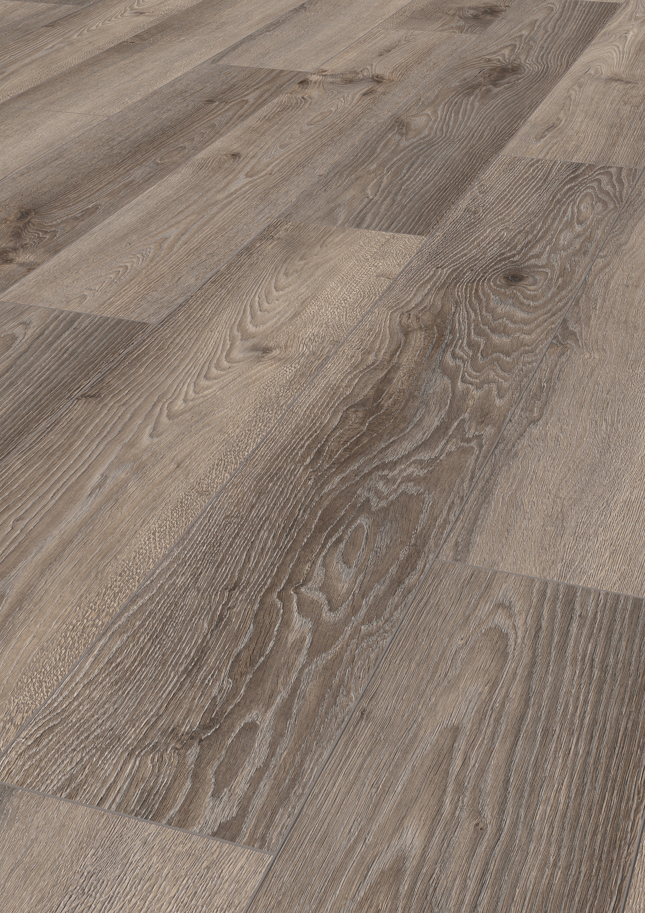 Image of ter Hürne Designboden »Eiche schattengrau«, mit fühlbarer Oberfläche und Klicksystem bei Ackermann Versand Schweiz