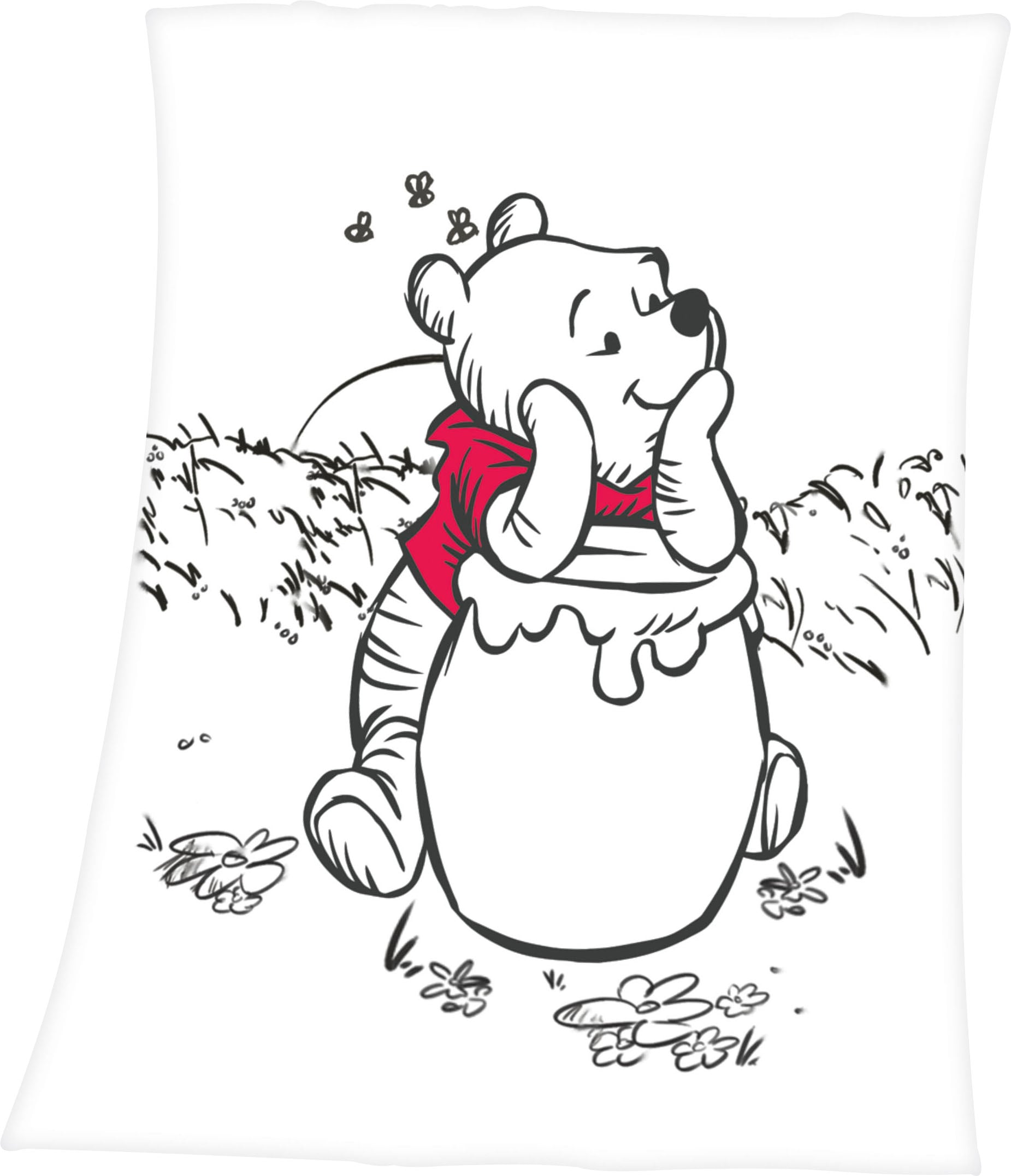 Disney Babydecke »Winnie Pooh«, mit liebevollem Winnie Pooh Motiv,  Kuscheldecke kaufen