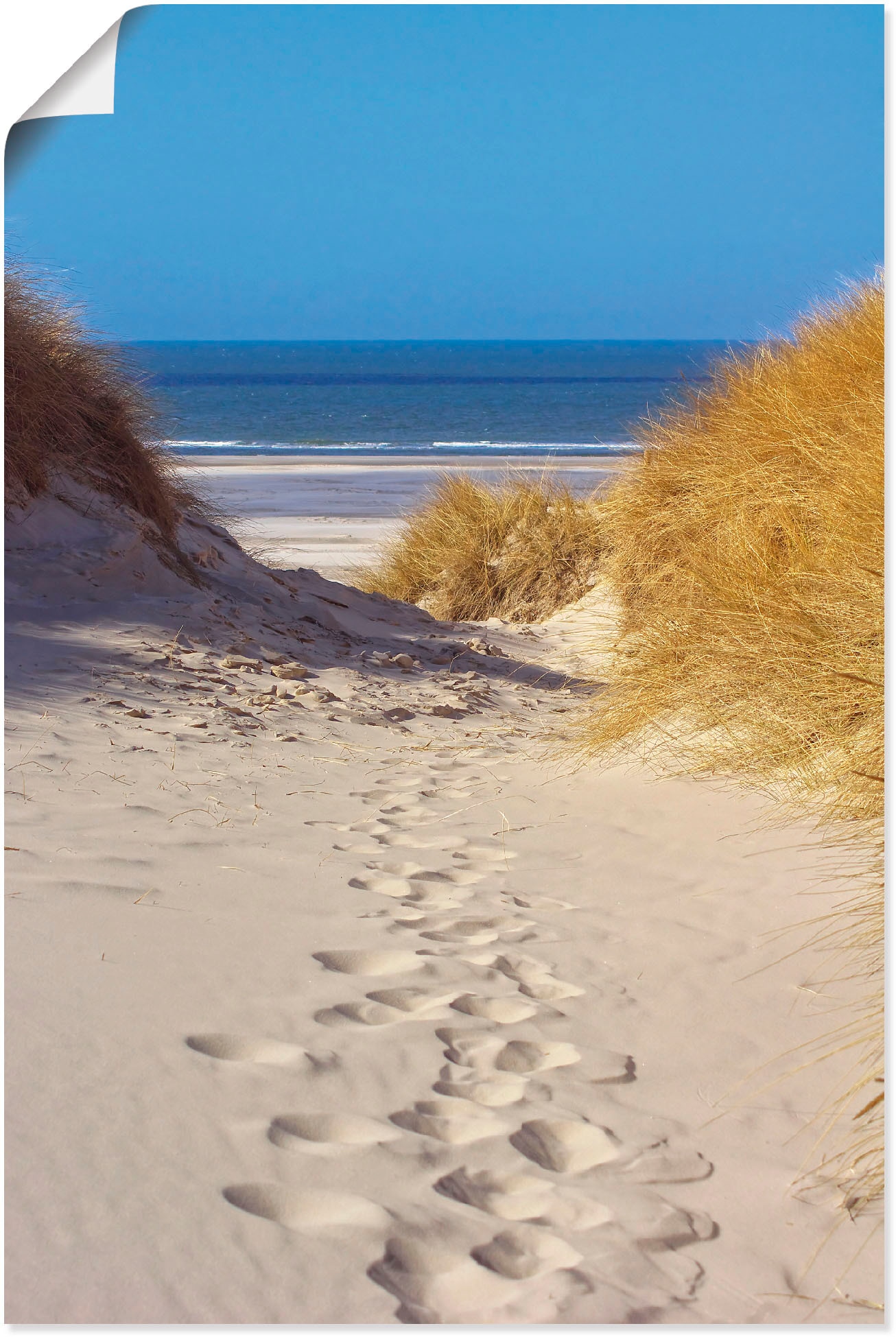 Image of Artland Poster "Weg zum Strand II" Strand 1 Stk. tlg. ohne Rahmen