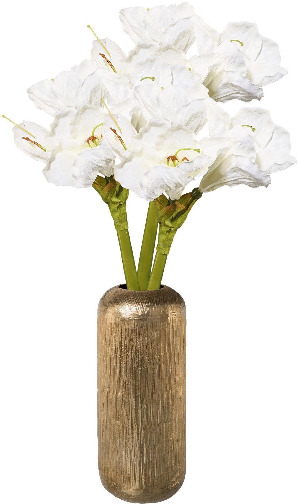 Image of Creativ deco Dekovase, (Set, 4 St., 1 Vase, 3 Amaryllisstengel), mit hochwertiger Amaryllis bei Ackermann Versand Schweiz