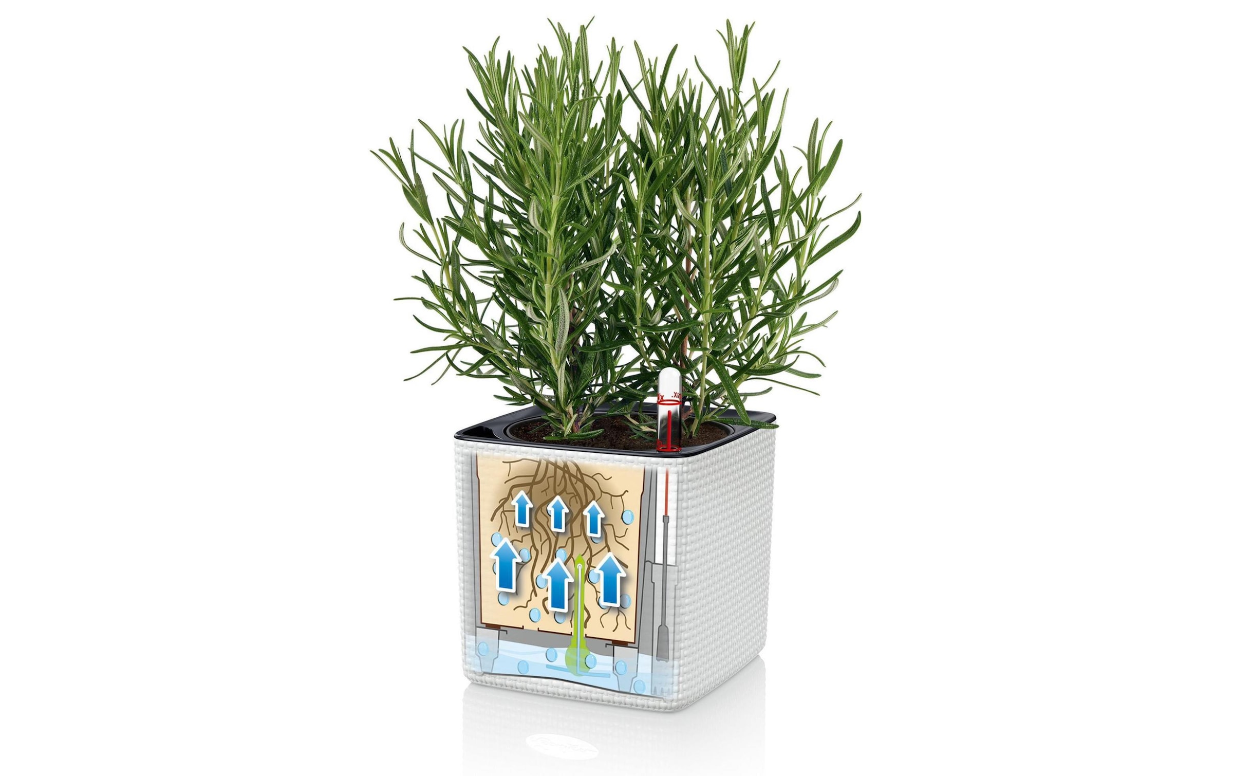 Übertopf »Green Wall Home Kit CO Weiss«