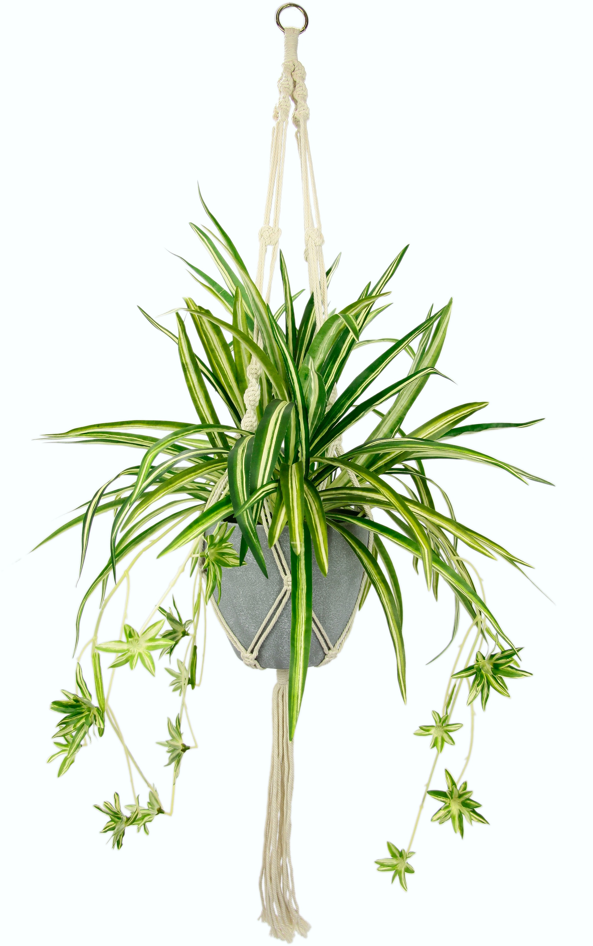 kaufen Kunststofftopf, Zimmerpflanze bequem I.GE.A. mit im »Wasserlilie«, Künstliche Hängeampel