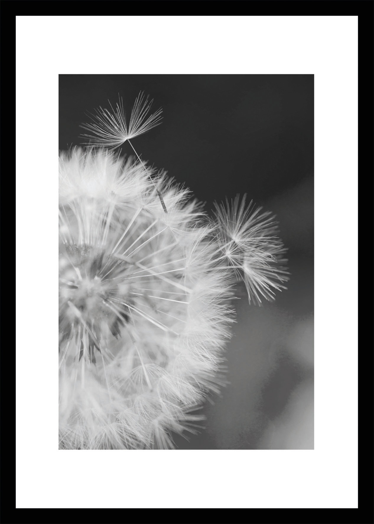 Image of Bönninghoff Bild mit Rahmen »Löwenzahn«, (1 St.) bei Ackermann Versand Schweiz