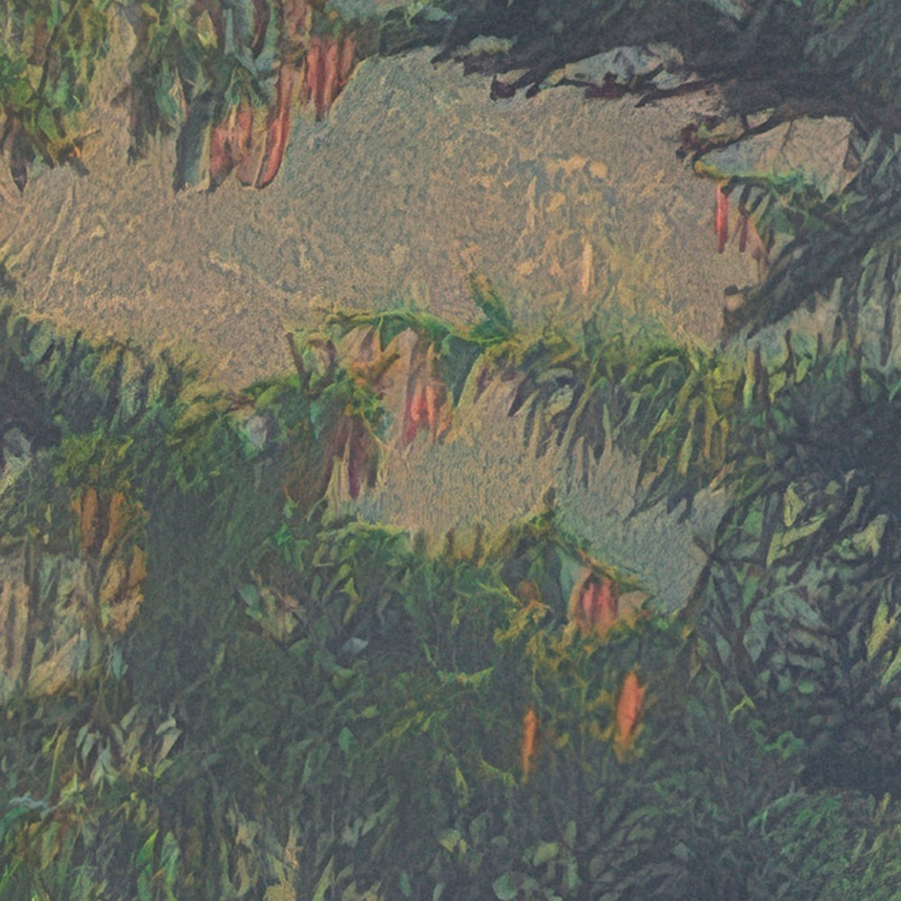 Komar Fototapete »Vlies Fototapete - Mystical Firs - Grösse 400 x 250 cm« Motiv | bedruckt glatt