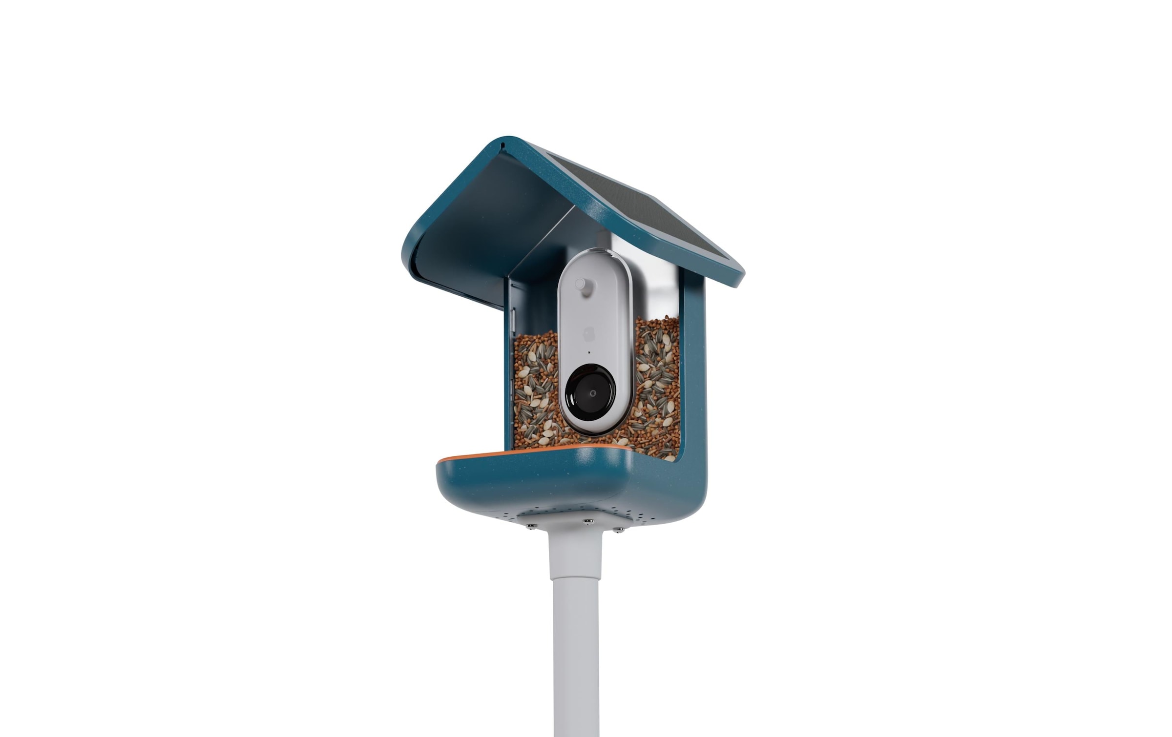 Futterspender »Birdbuddy Bird Buddy mit Kamera«