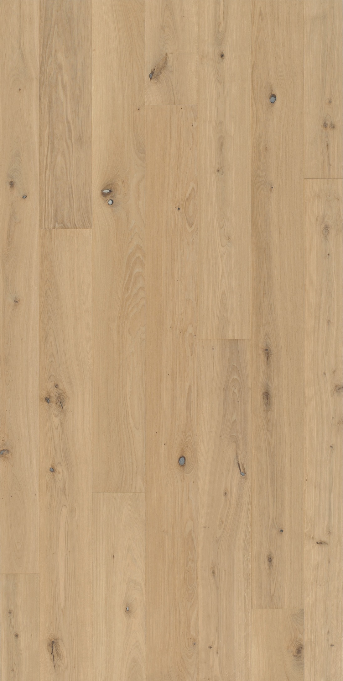 Image of PARADOR Parkett »Classic 3060 Rustikal - Eiche Muscat«, (Packung), Klicksystem, 2200 x 185 mm, Stärke: 13 mm, 3,66 m² bei Ackermann Versand Schweiz