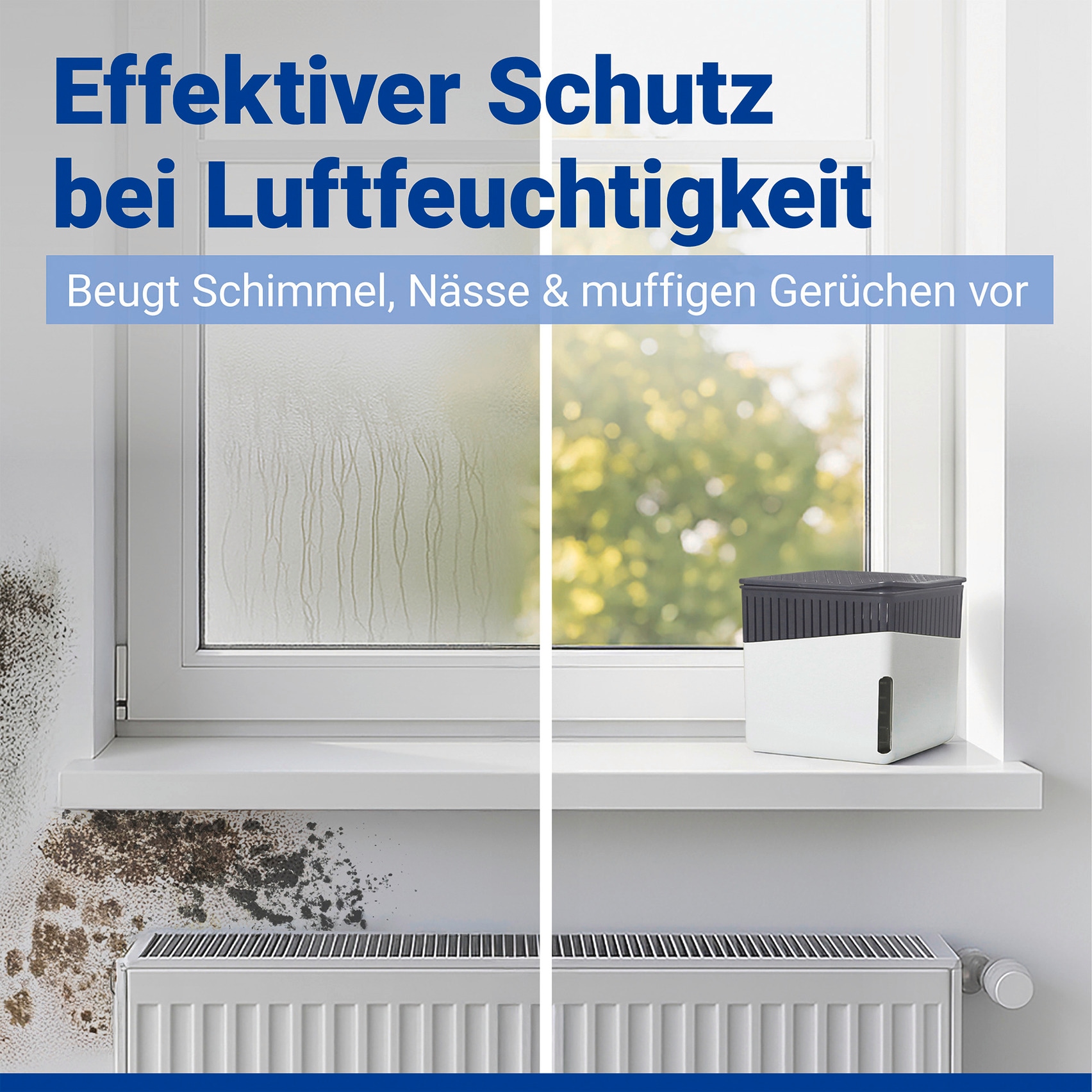 WENKO Déshumidificateur d'air »Cube« für 80 m³ Räume 1000 g