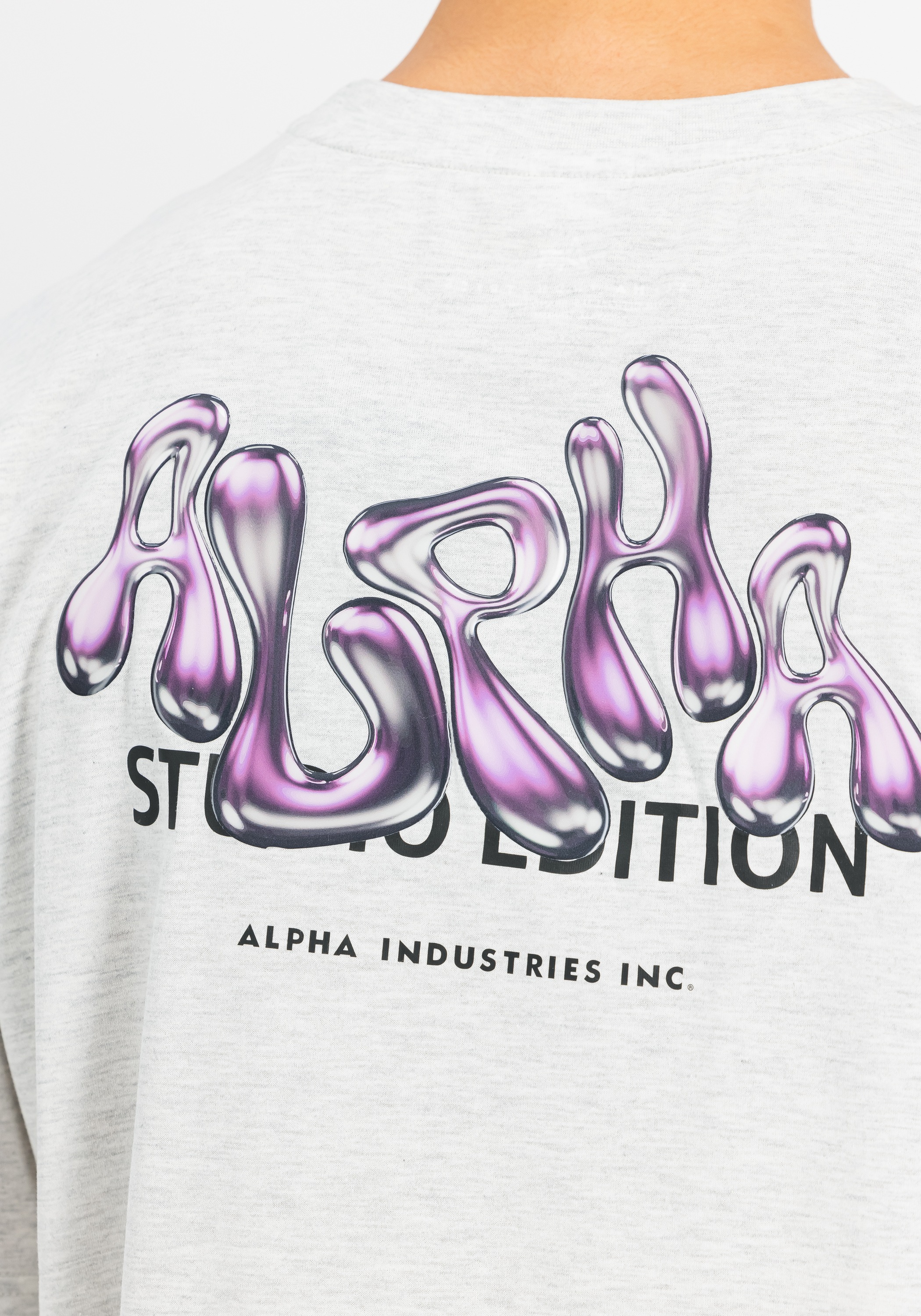 Alpha Industries T-Shirt »Studio Edition Backprint T-Shirt«