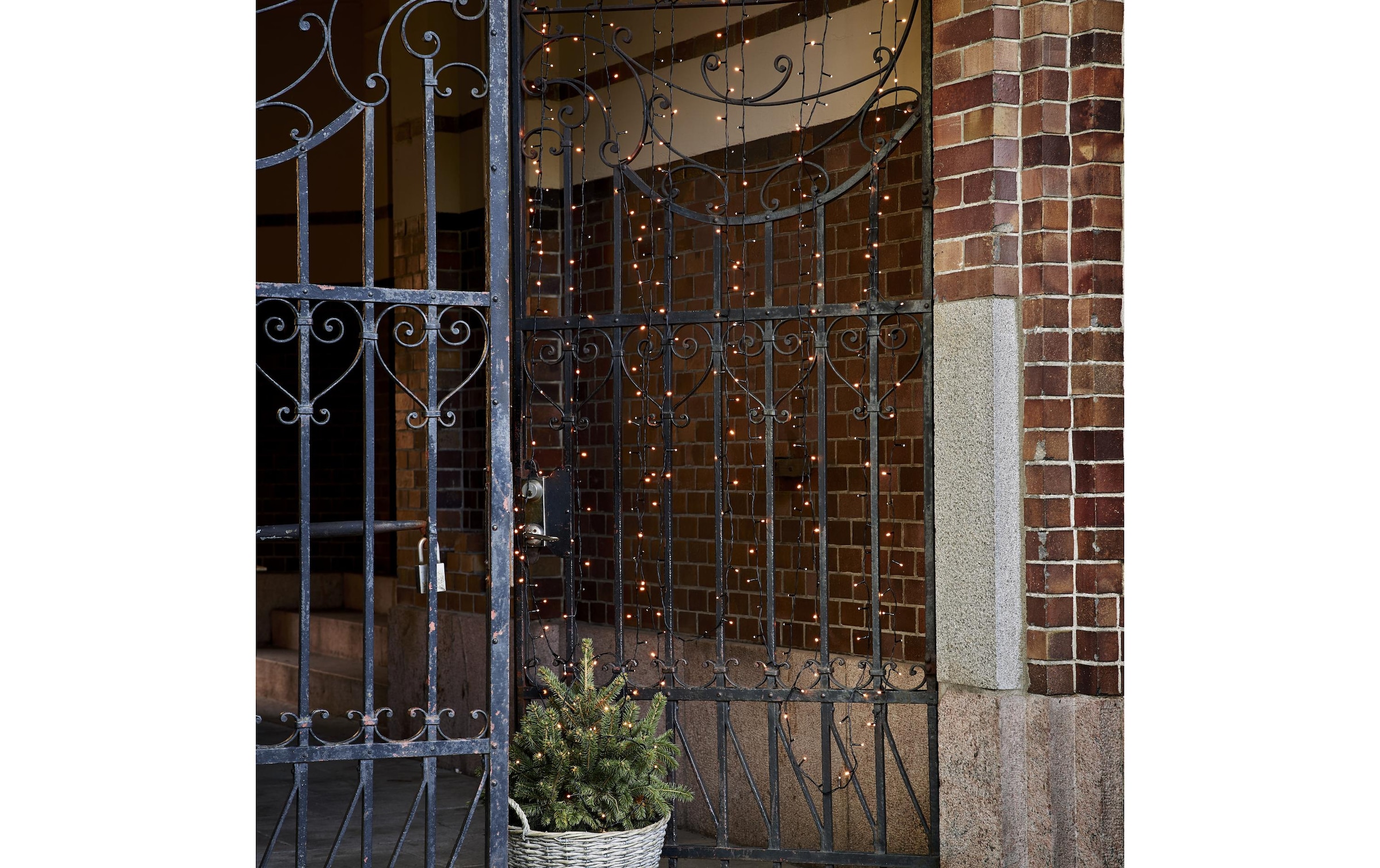 Parforce Traditional Hunting Guirlande lumineuse LED »Golden, 80 LED, 560 cm Outdoor« 80 cuis-flammig