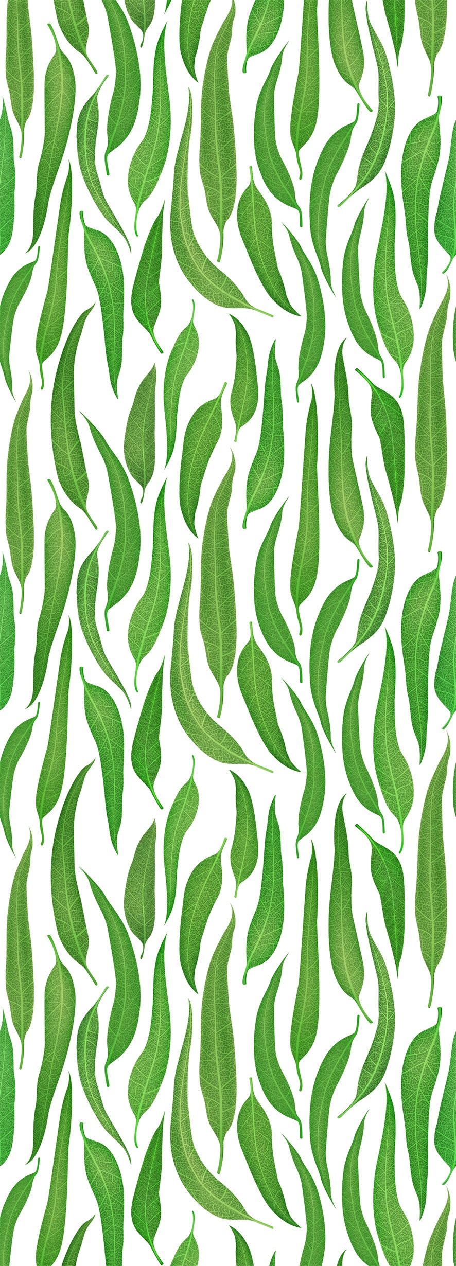 Image of queence Vinyltapete "Weiden Blätter" Motiv bedruckt botanisch floral gemustert natürlich glatt 90x250cm, selbstklebend, kinderleichte Anbringung, Sticker