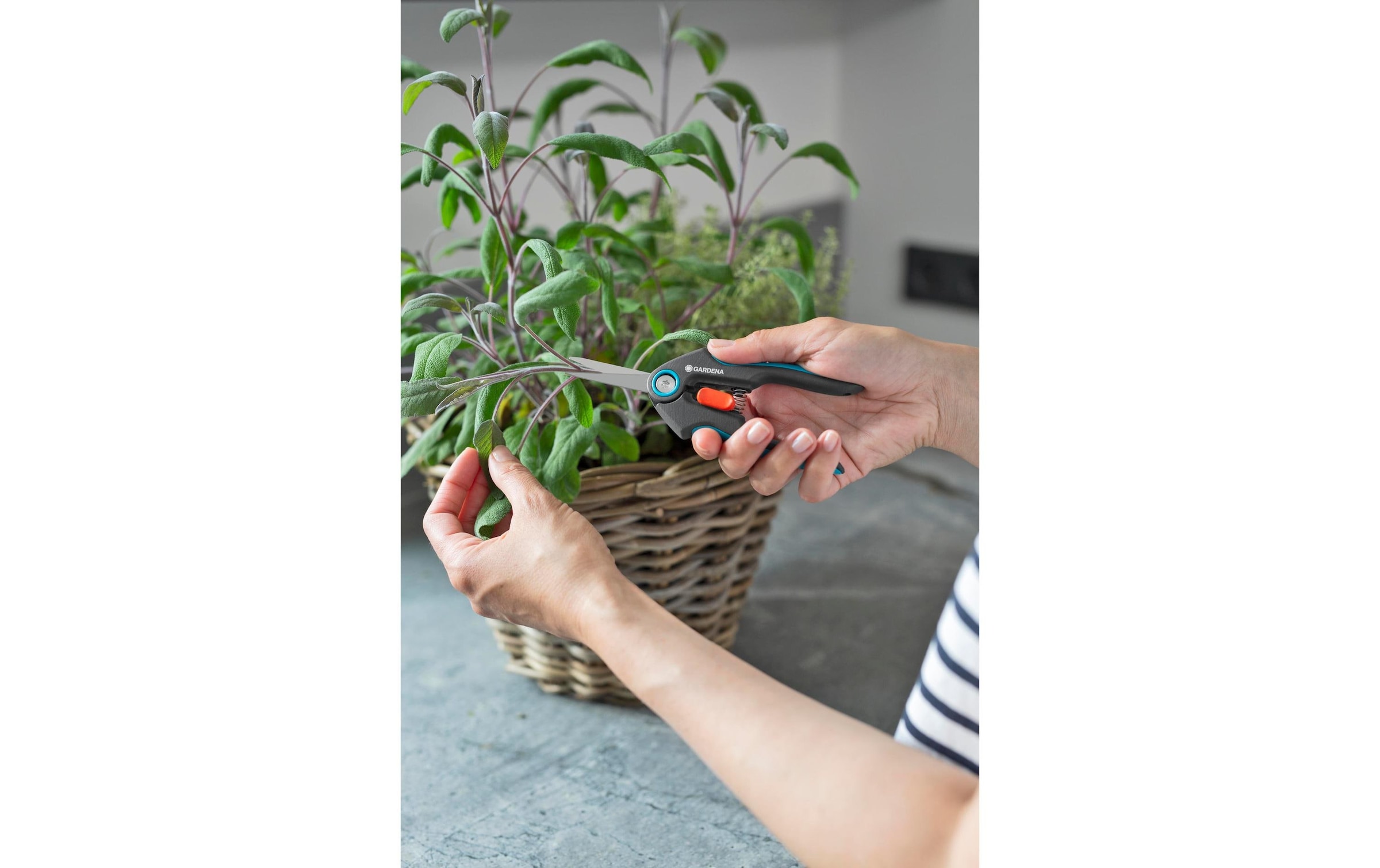 GARDENA Gartenschere »FreshCut«
