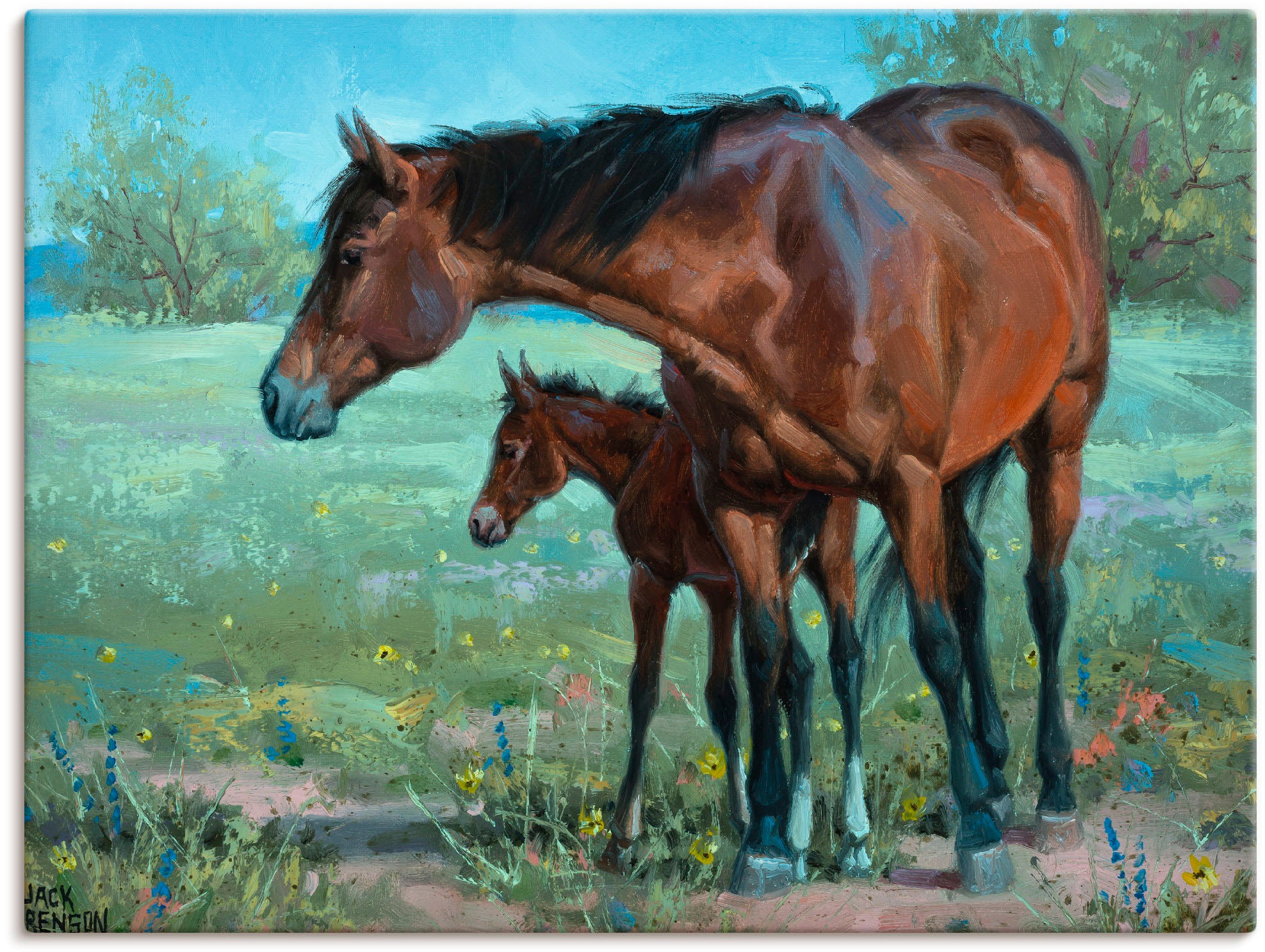 Image of Artland Wandbild »Wachsames Auge«, Haustiere, (1 St.), in vielen Grössen & Produktarten - Alubild / Outdoorbild für den Aussenbereich, Leinwandbild, Poster, Wandaufkleber / Wandtattoo auch für Badezimmer geeignet bei Ackermann Versand Schweiz