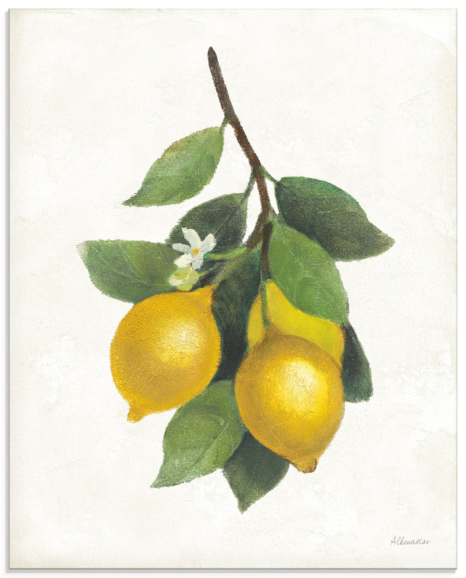 Image of Artland Glasbild "Lemon Branch III" Pflanzenbilder 1 Stk. tlg. in verschiedenen Grössen