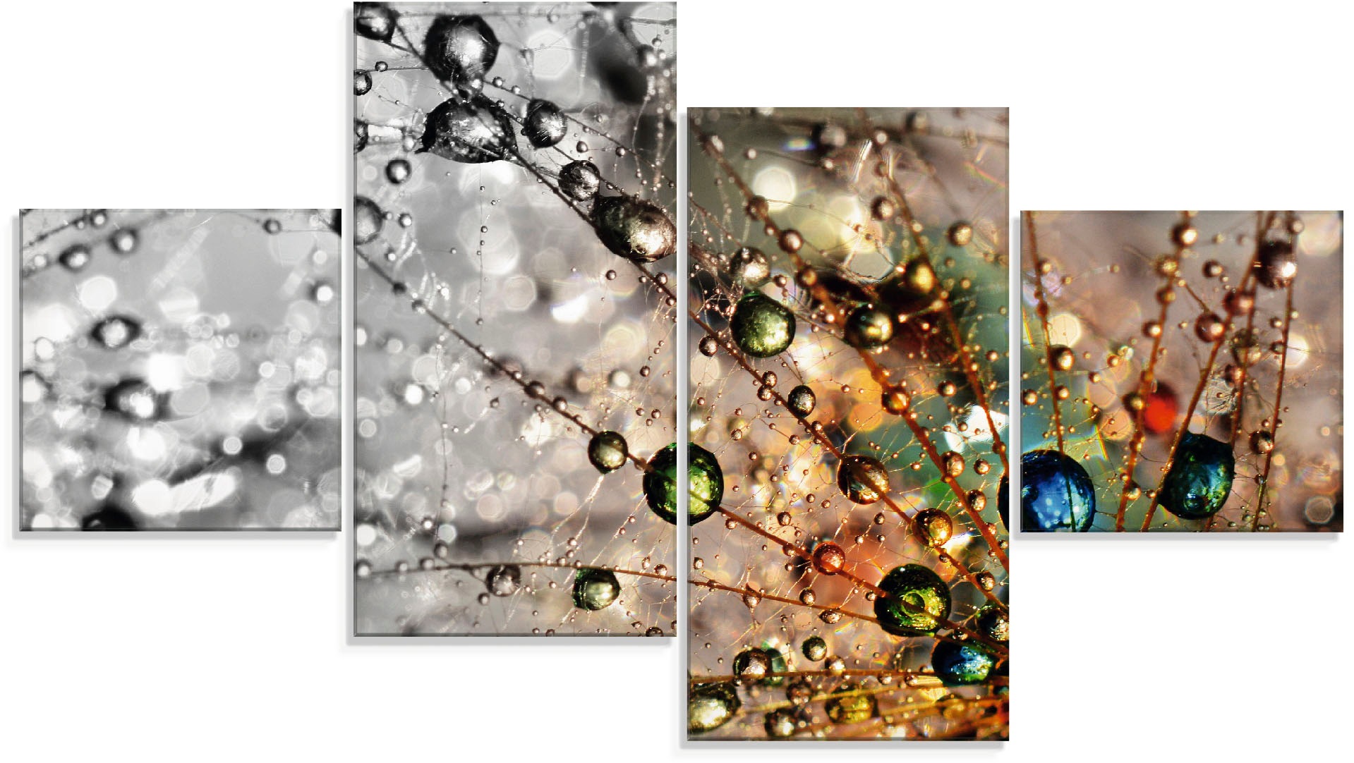 Image of Artland Glasbild »Farbenfrohe Natur«, Blumen, (4 St.) bei Ackermann Versand Schweiz