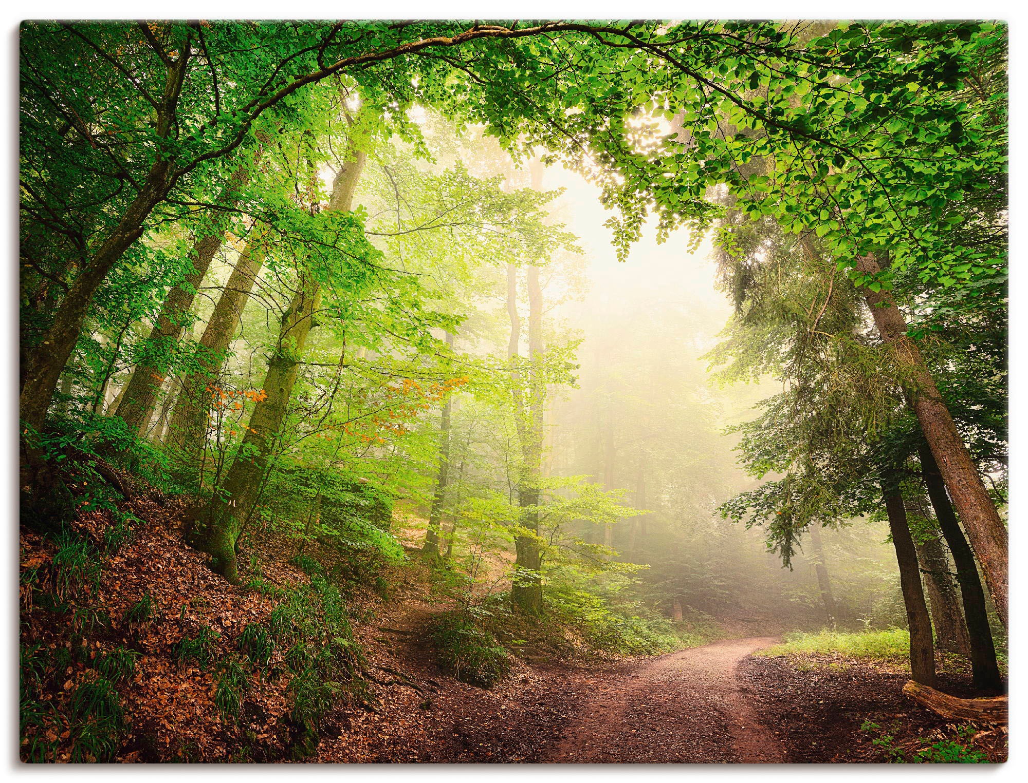 Image of Artland Wandbild »Natürliche Torbögen durch Bäume«, Wald, (1 St.), in vielen Grössen & Produktarten - Alubild / Outdoorbild für den Aussenbereich, Leinwandbild, Poster, Wandaufkleber / Wandtattoo auch für Badezimmer geeignet bei Ackermann Versand Schweiz