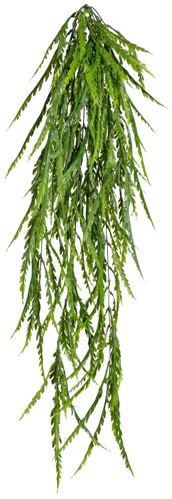 Image of Creativ green Kunstranke »Asplenium-Hänger«, (1 St.) bei Ackermann Versand Schweiz