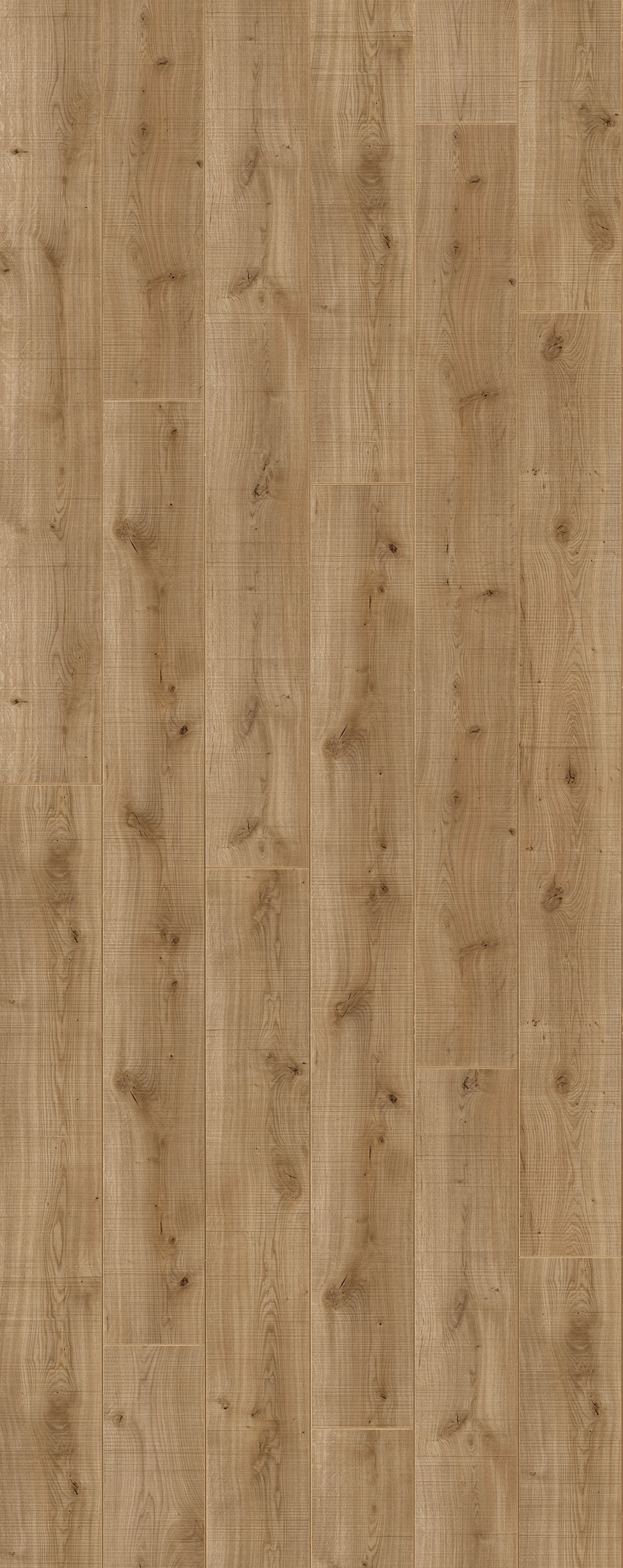 Image of PARADOR Laminat »Trendtime 6 - Holzfällereiche«, (Packung), spezielle Trägerplatte, 2200 x 243 mm, Stärke: 9 mm bei Ackermann Versand Schweiz