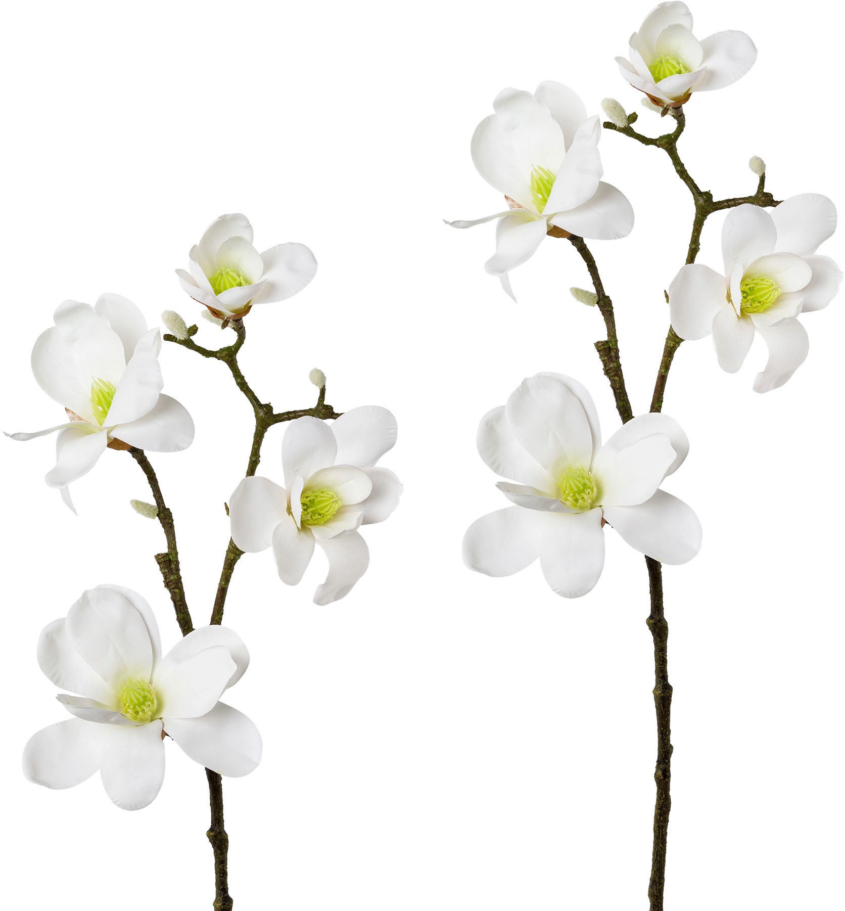 Image of Creativ green Kunstzweig »Zweig Magnolie«, (2 St.), 2er Set bei Ackermann Versand Schweiz