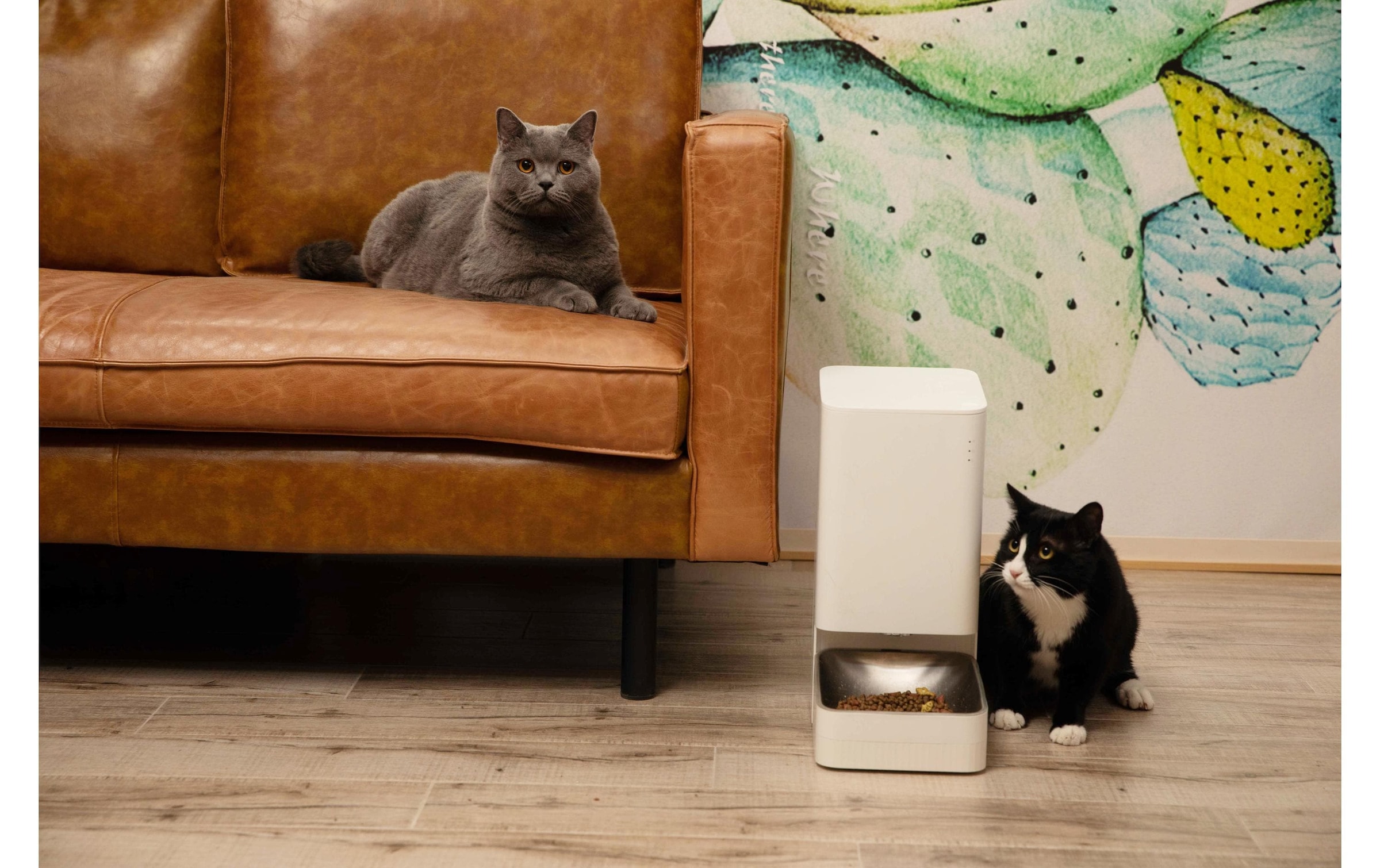 Xiaomi Futterautomat »Pet Food Feeder«