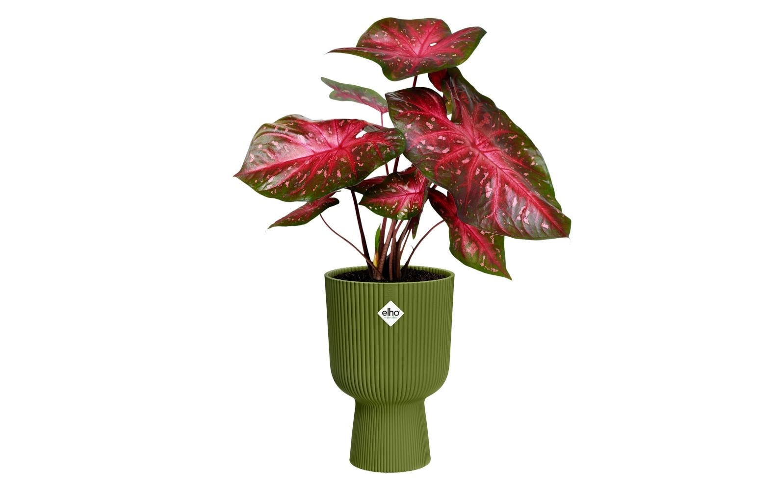Elho Pot de fleurs »Vibes Fold Coupe 30 cm«