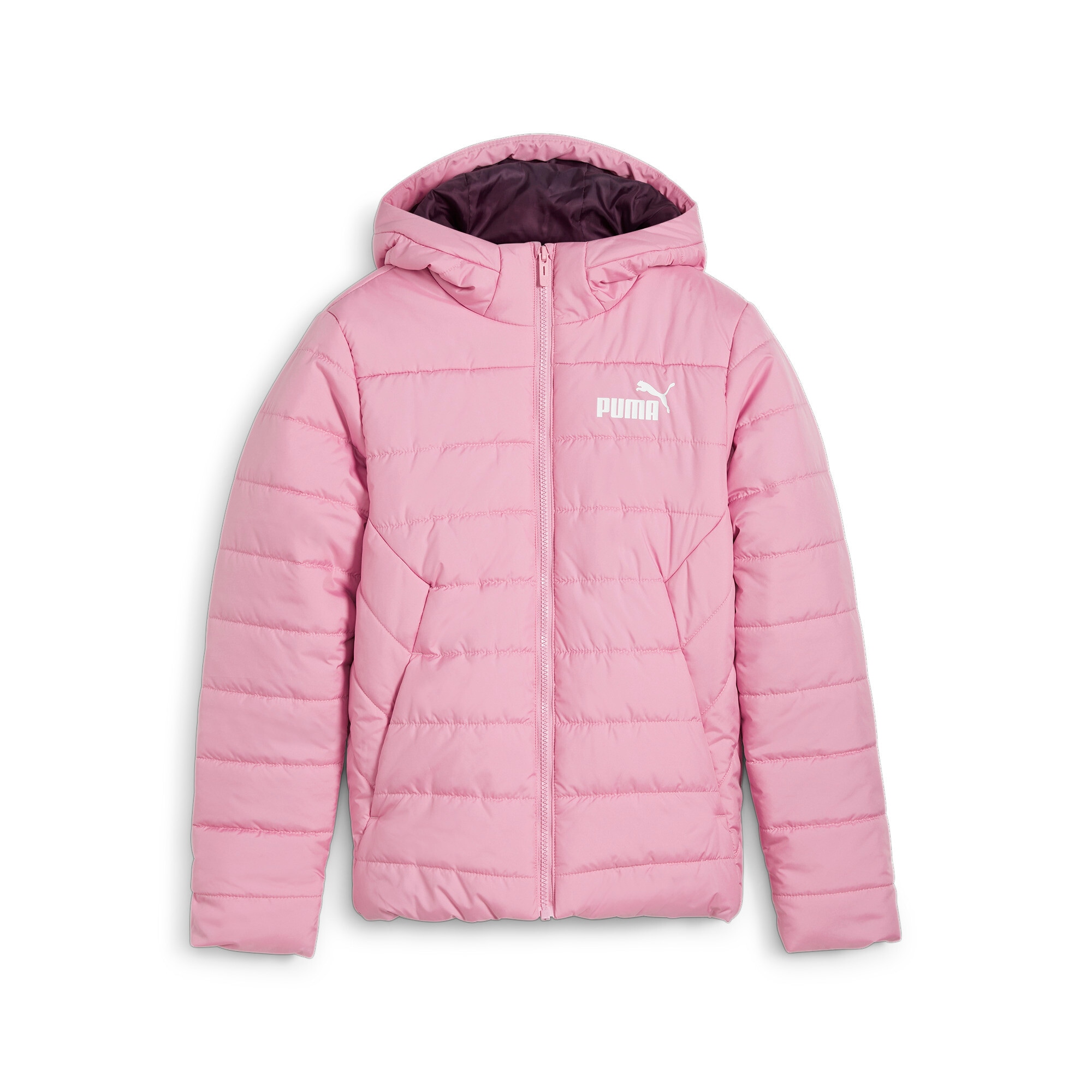 PUMA Winterjacke »ESS HOODED PADDED JACKET«, mit Kapuze