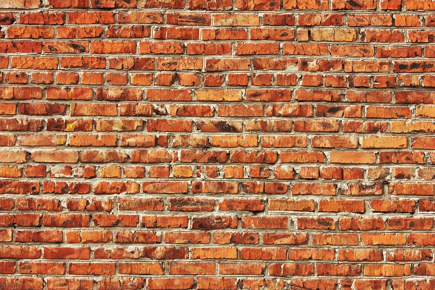 Image of Papermoon Fototapete »Red Brick Wall« bei Ackermann Versand Schweiz