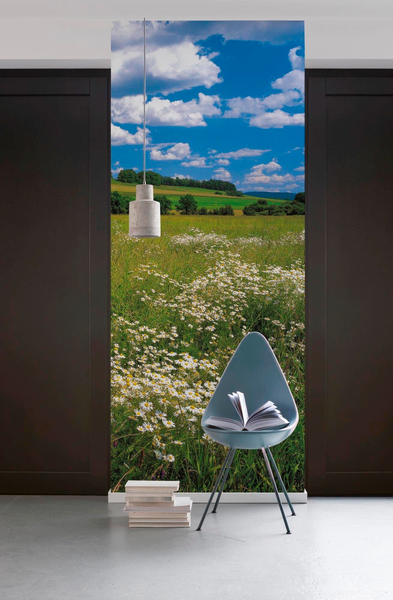 Komar Vliestapete »Digitaldruck Vlies - Meadow - Grösse 100 x 280 cm«, bedruckt, Wohnzimmer, Schlafzimmer