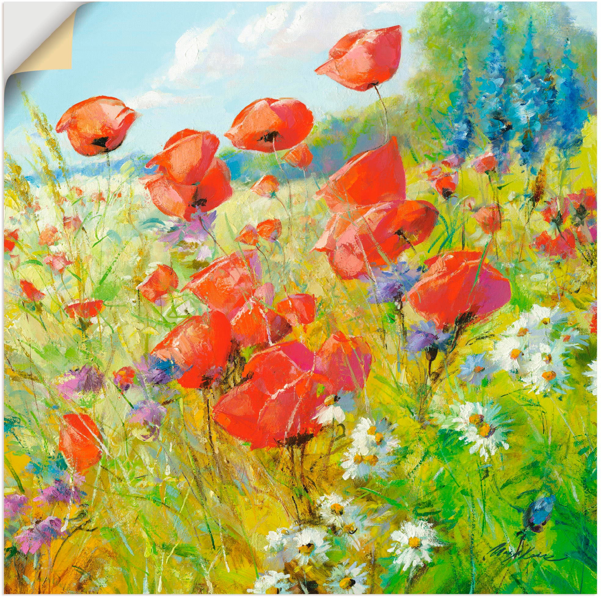 Image of Artland Wandbild »Sommerwiese mit Mohnblumen«, Blumenwiese, (1 St.), in vielen Grössen & Produktarten - Alubild / Outdoorbild für den Aussenbereich, Leinwandbild, Poster, Wandaufkleber / Wandtattoo auch für Badezimmer geeignet bei Ackermann Versand Schwei