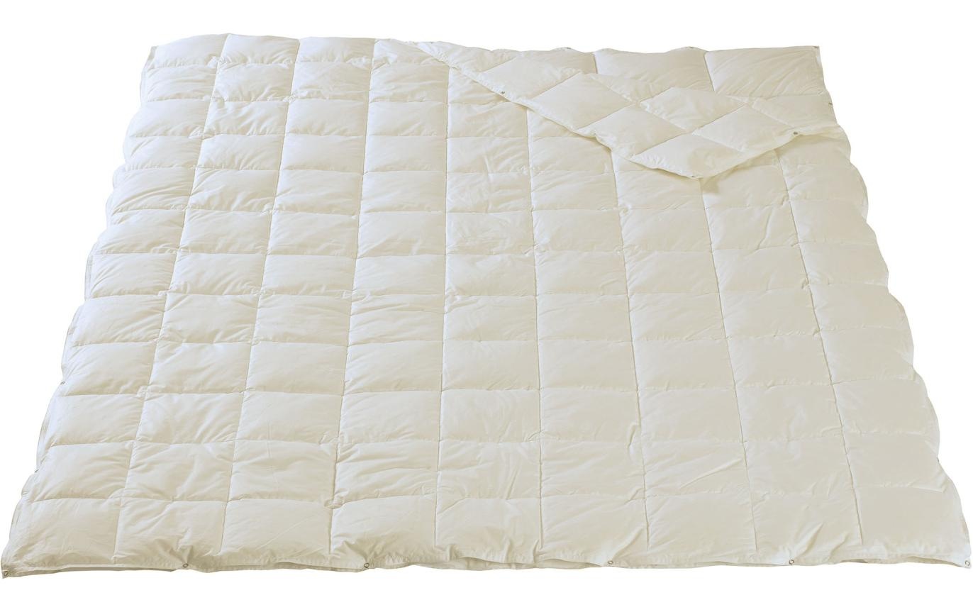 Image of DOR Einziehdecke »Primula Bio 160210«, leicht, (1 St.) bei Ackermann Versand Schweiz