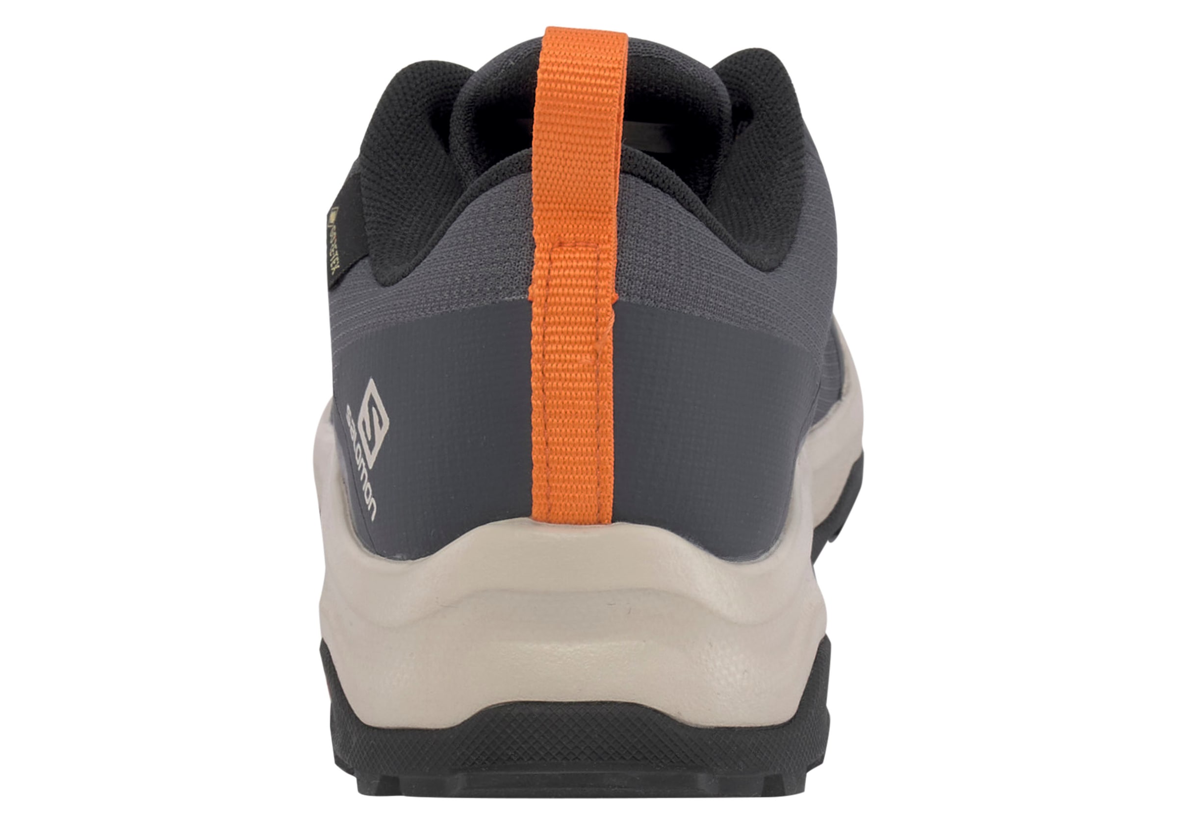 Salomon Wanderschuh »X-RENDER GORE-TEX W«, wasserdicht