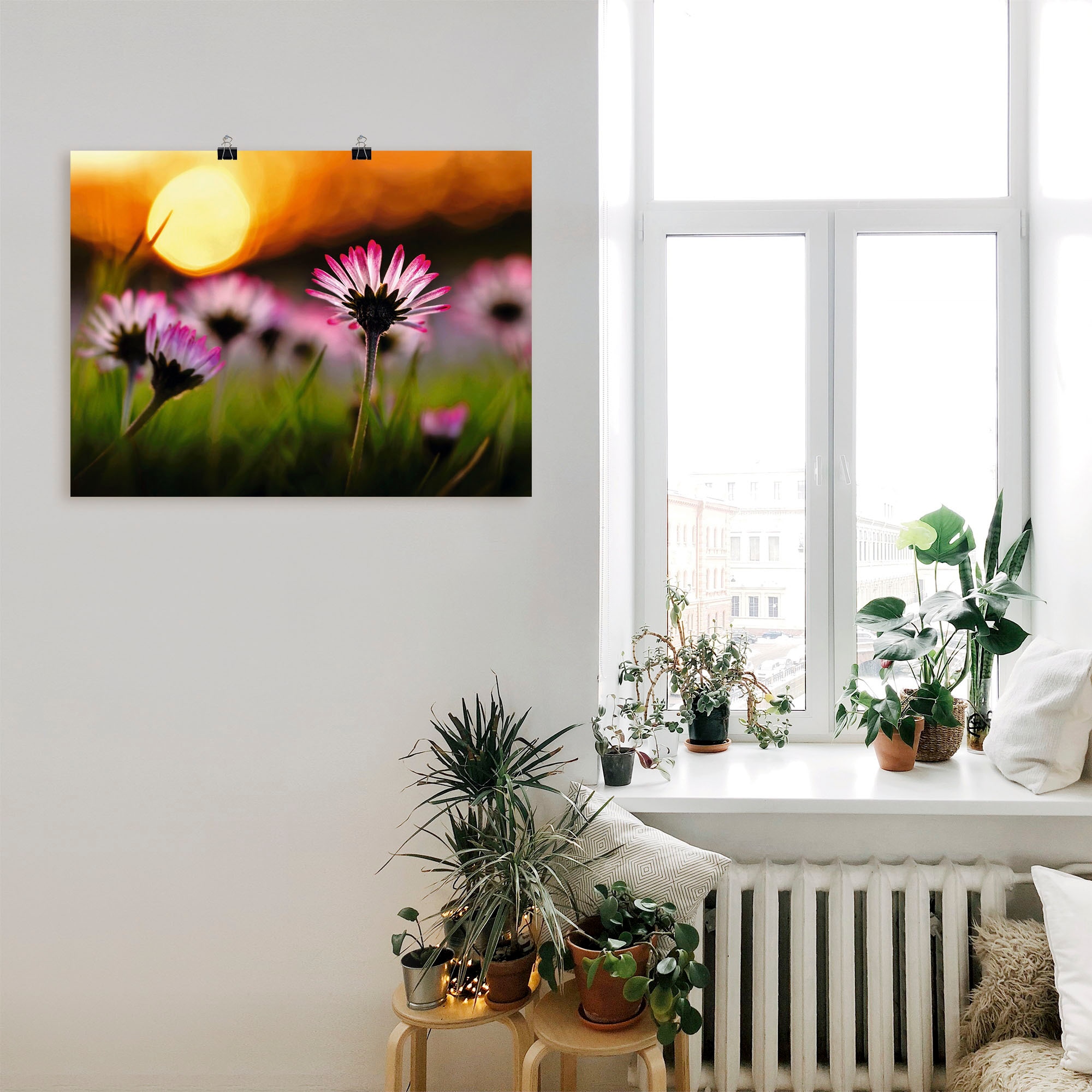 Artland Poster »Gänseblümchen im Sonnenuntergang«, Blumenwiese, (1 St.), als Alubild, Leinwandbild, Wandaufkleber oder Poster in versch. Grössen