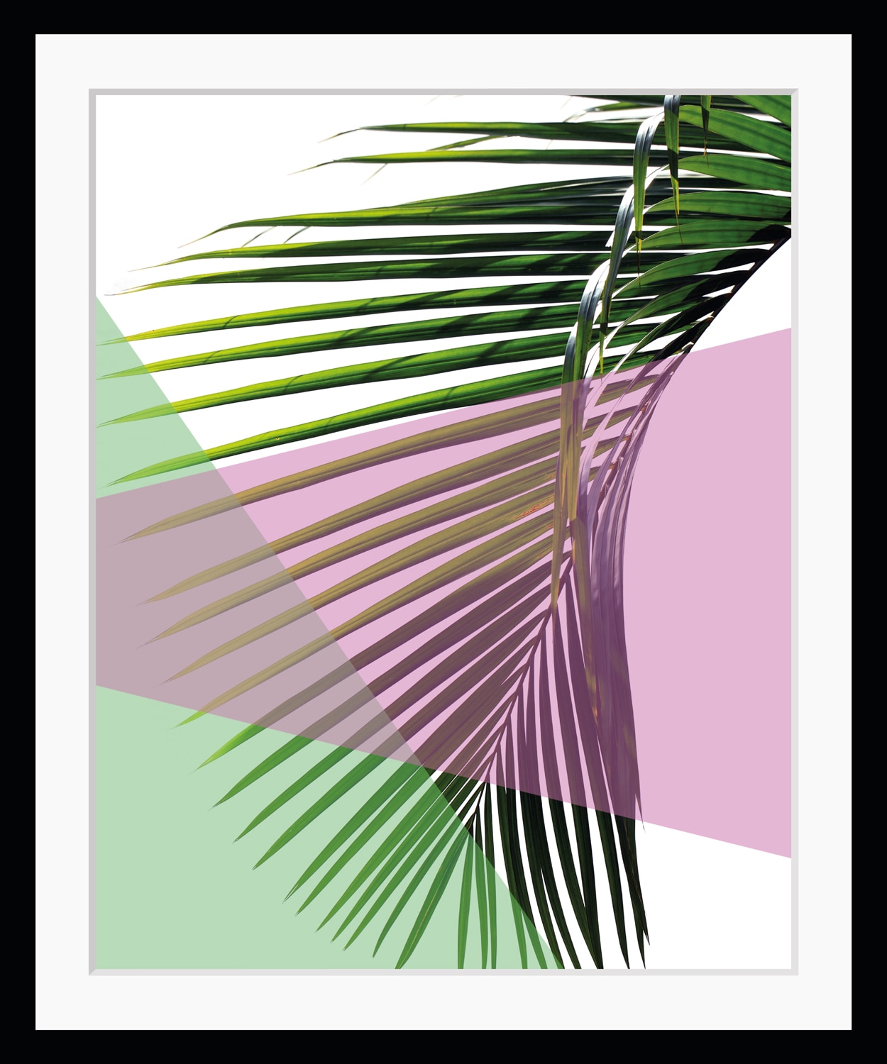 Image of queence Bild "Philipp" Abstrakt Blumen Blätter Figuren Kunst HD Premium Poster-Druck inkl. Holzrahmen