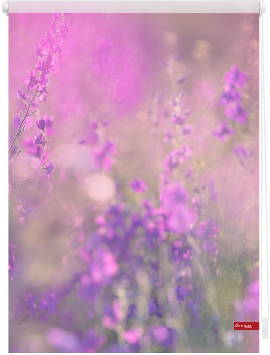 Image of LICHTBLICK ORIGINAL Seitenzugrollo "Rollo Klemmfix, ohne Bohren, Verdunkelung, Blumenwiese" verdunkelnd Verdunkelung energiesparend freihängend
