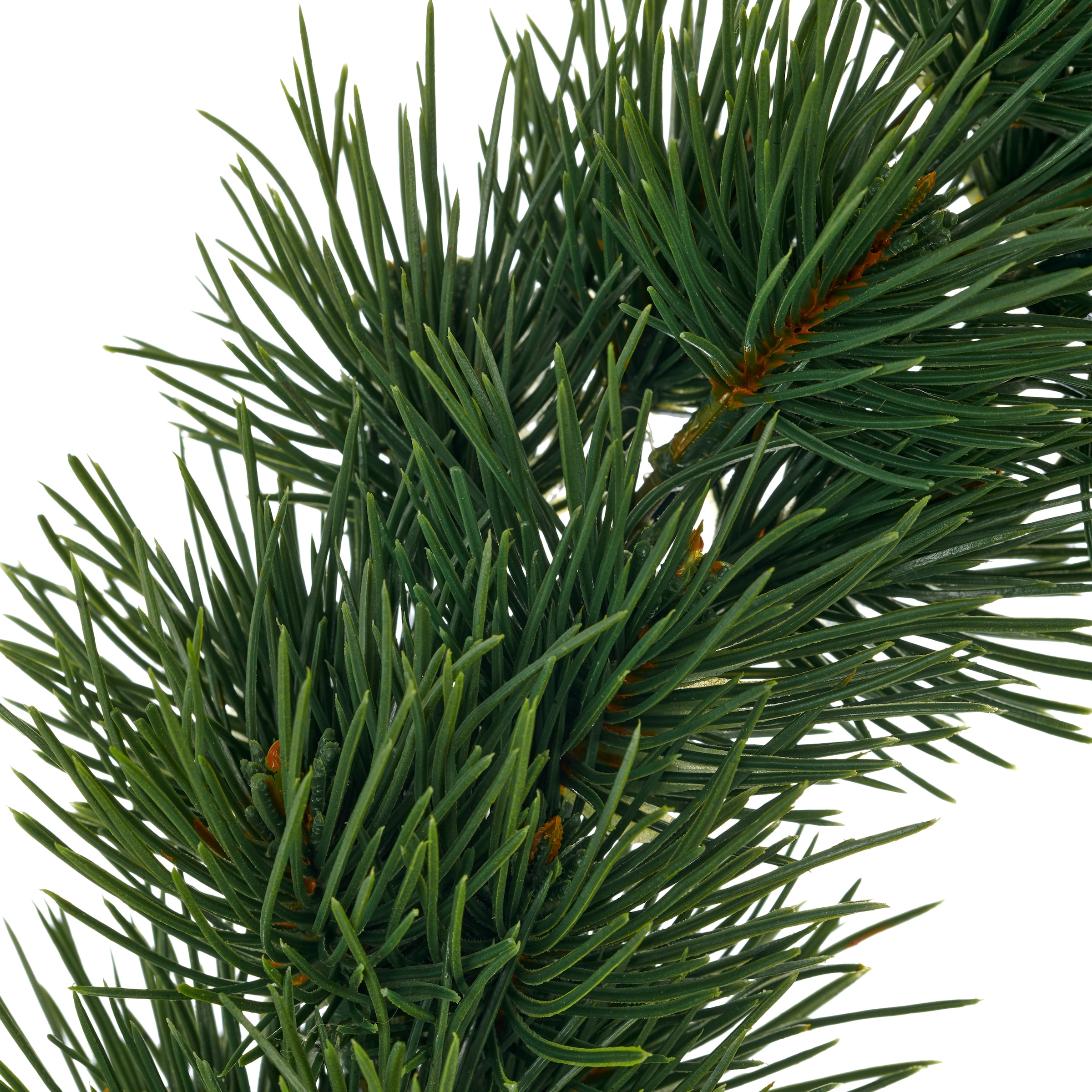 Creativ green Kunstkranz »Kiefernkranz« als Set aus 2 Grössen