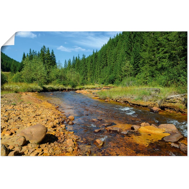 Artland Wandbild »Fluss Neagra, Caliman-Nationalpark«, Gewässer, (1 St.),  als Alubild, Leinwandbild, Wandaufkleber oder Poster in versch. Grössen  jetzt kaufen