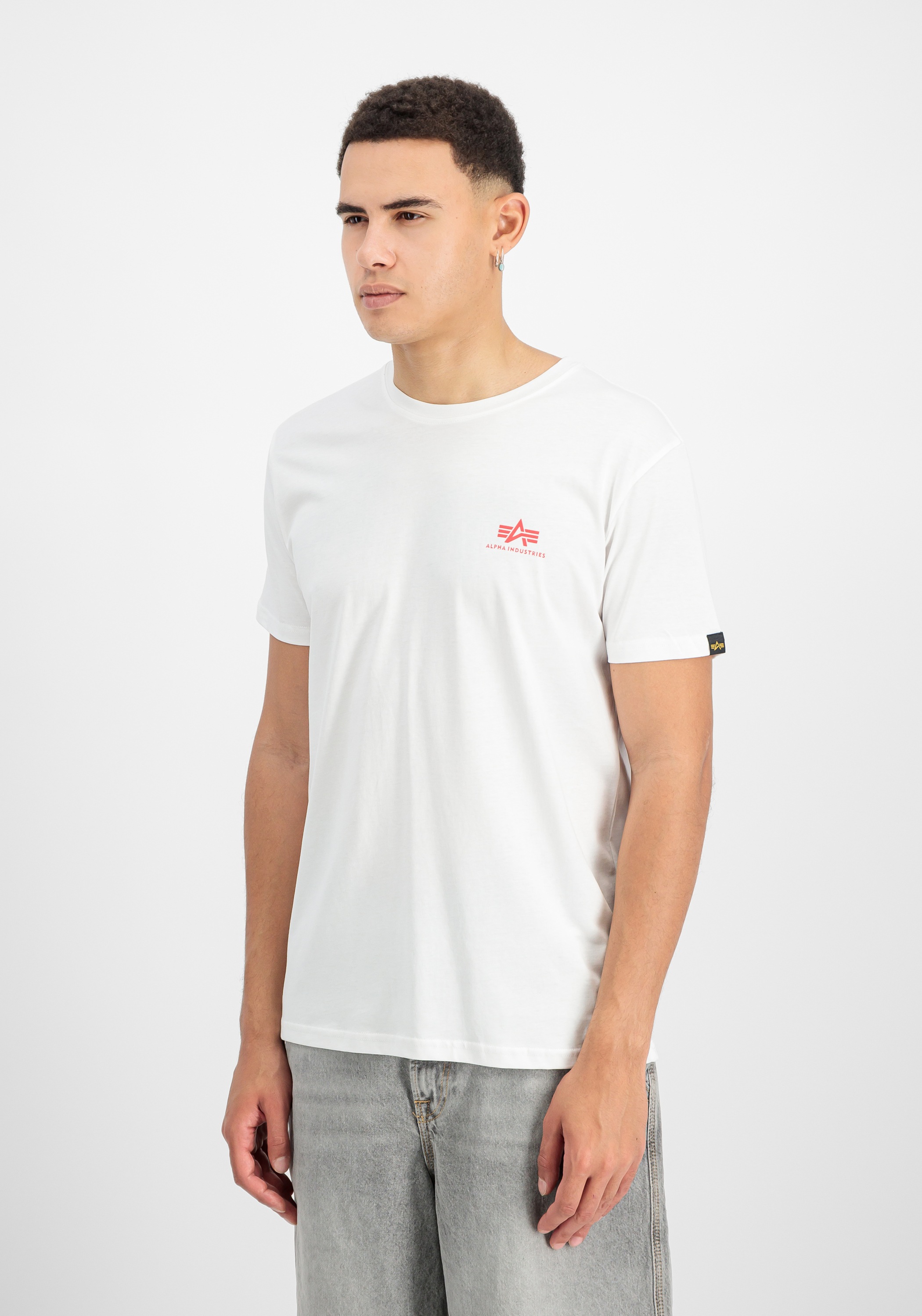 Alpha Industries T-Shirt »Backprint T-Shirt«