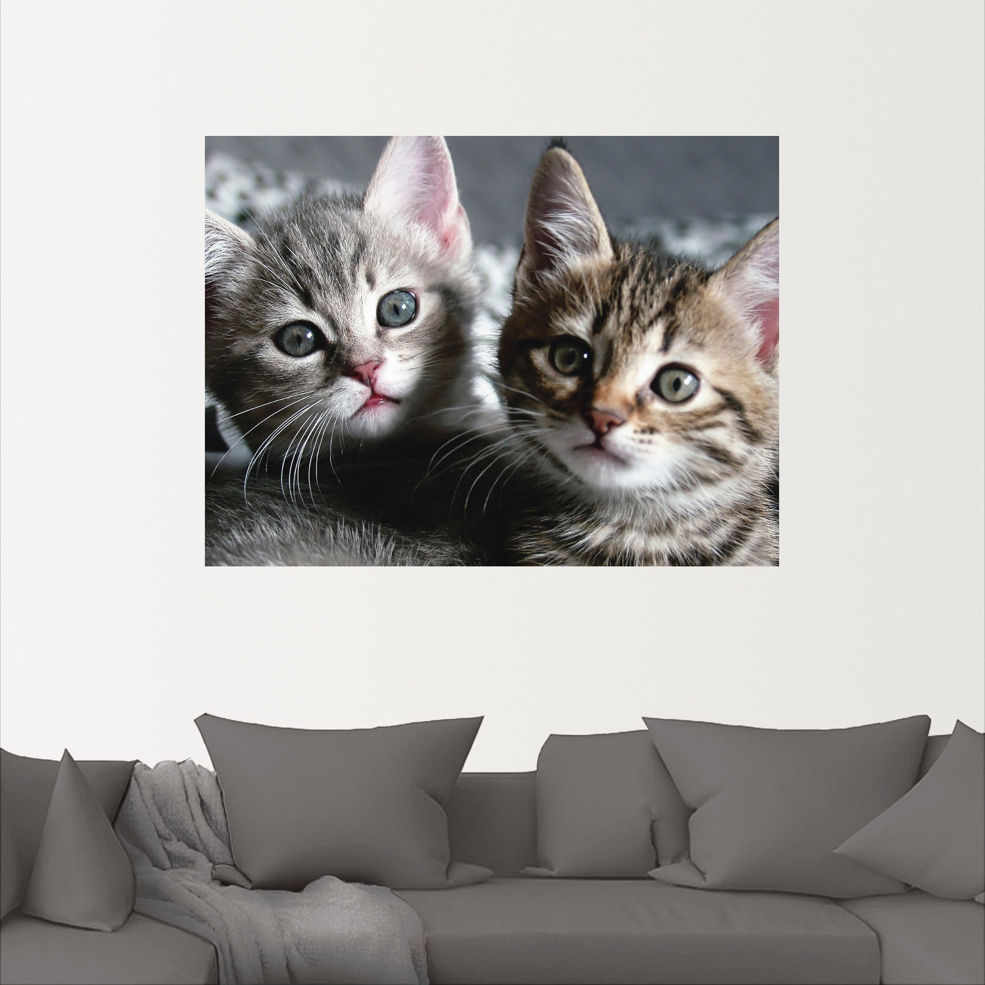 Artland Wandbild »Katze«, Haustiere, (1 St.), als Alubild, Outdoorbild, Leinwandbild, Poster, Wandaufkleber