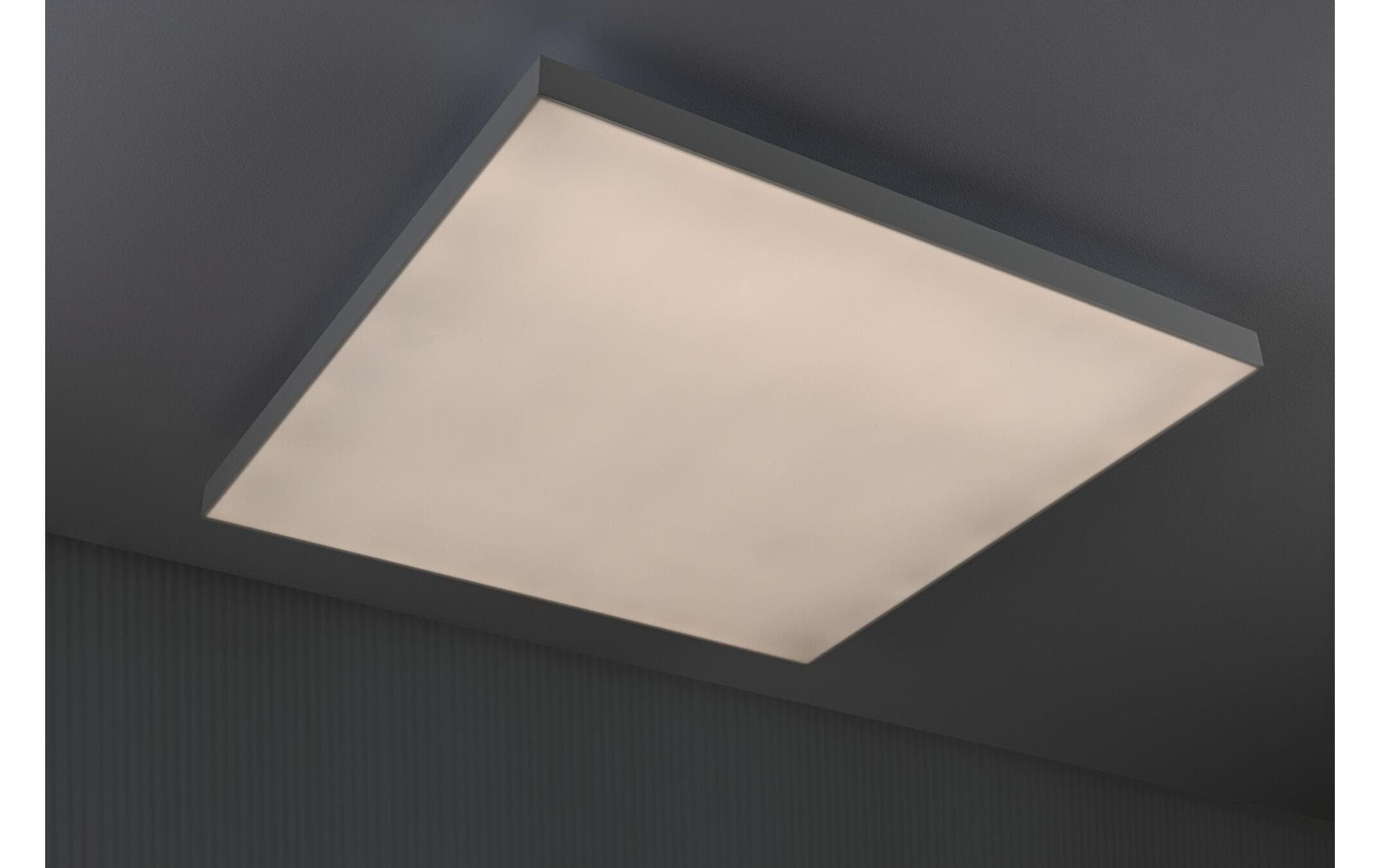 Paulmann Deckenleuchte »LED Panel Ve«