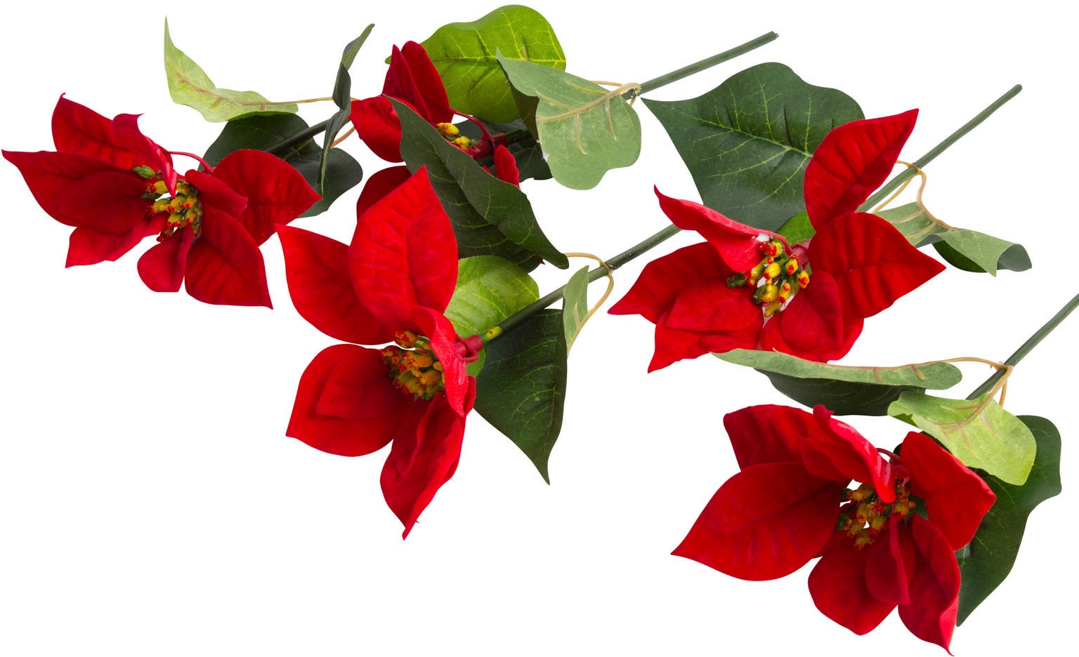 Image of Botanic-Haus Kunstblume »Edel-Poinsettienpick«, (Set, 5 St.) bei Ackermann Versand Schweiz