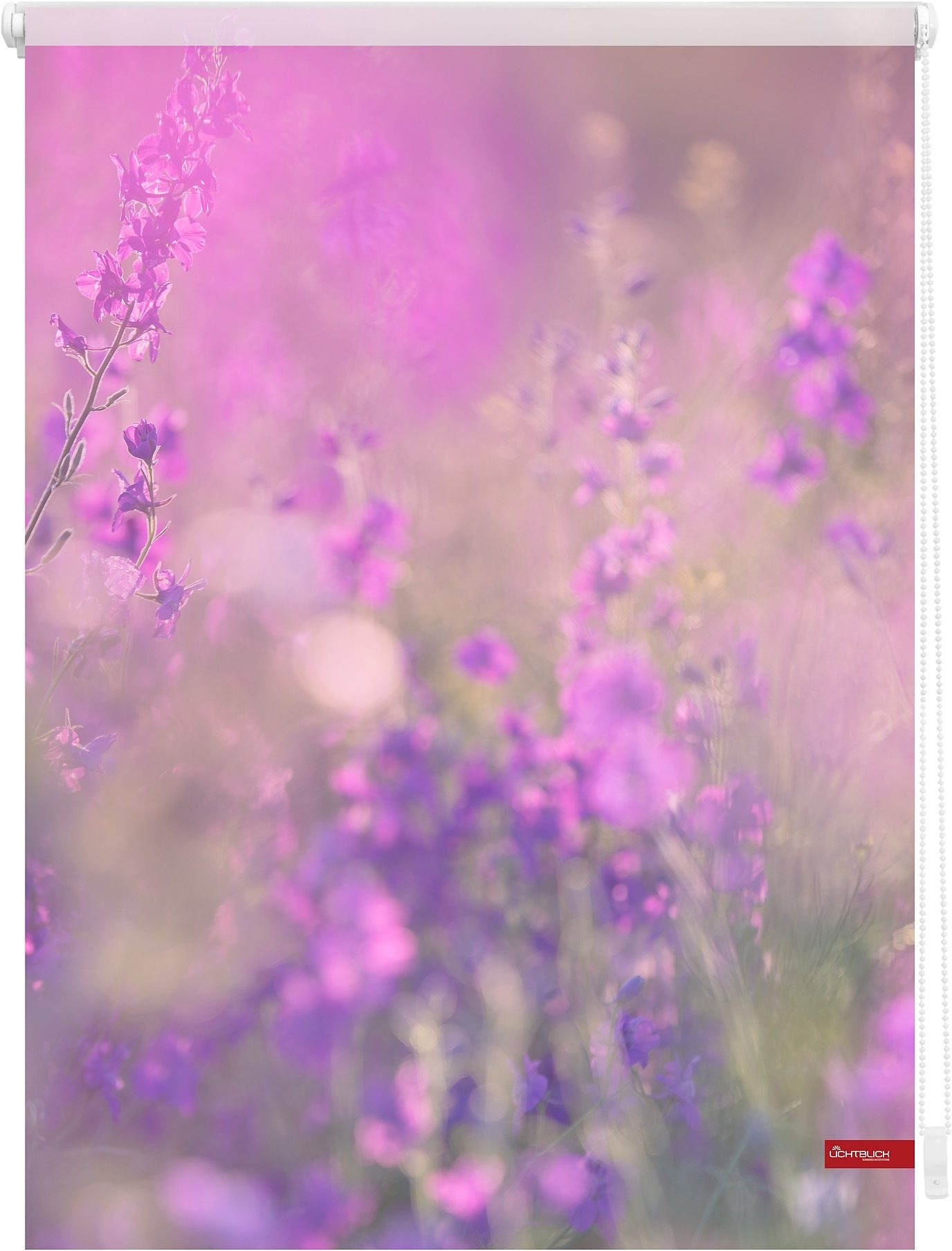 Image of LICHTBLICK ORIGINAL Seitenzugrollo »Klemmfix Motiv Blumenwiese«, Lichtschutz, ohne Bohren, freihängend, bedruckt bei Ackermann Versand Schweiz