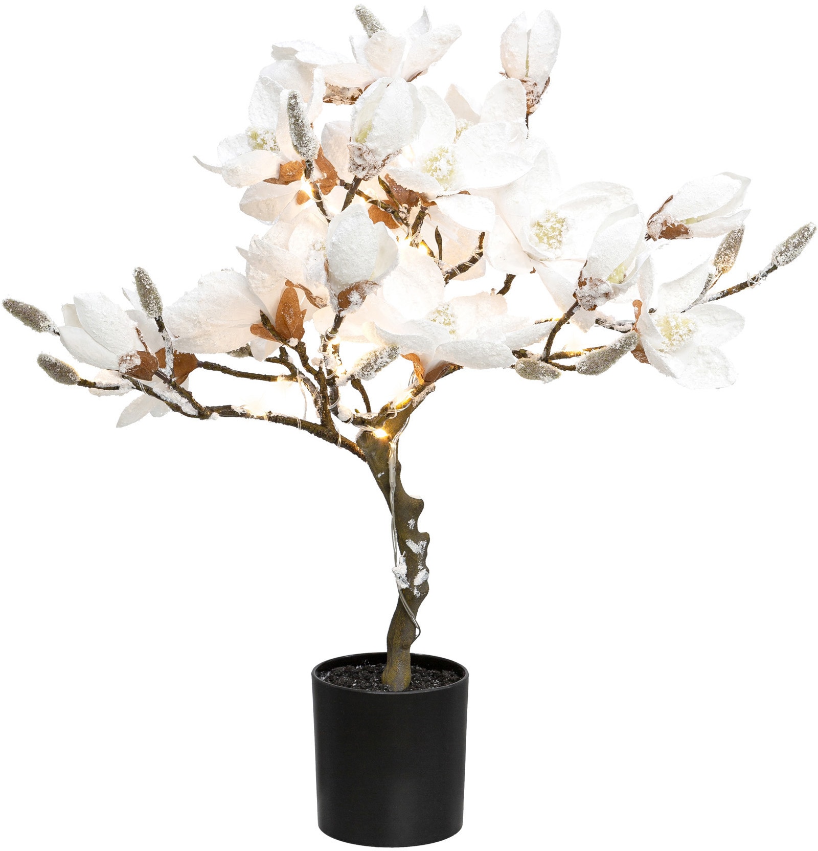 Kunstpflanze »Magnolie«, beschneit, mit 20 LEDs
