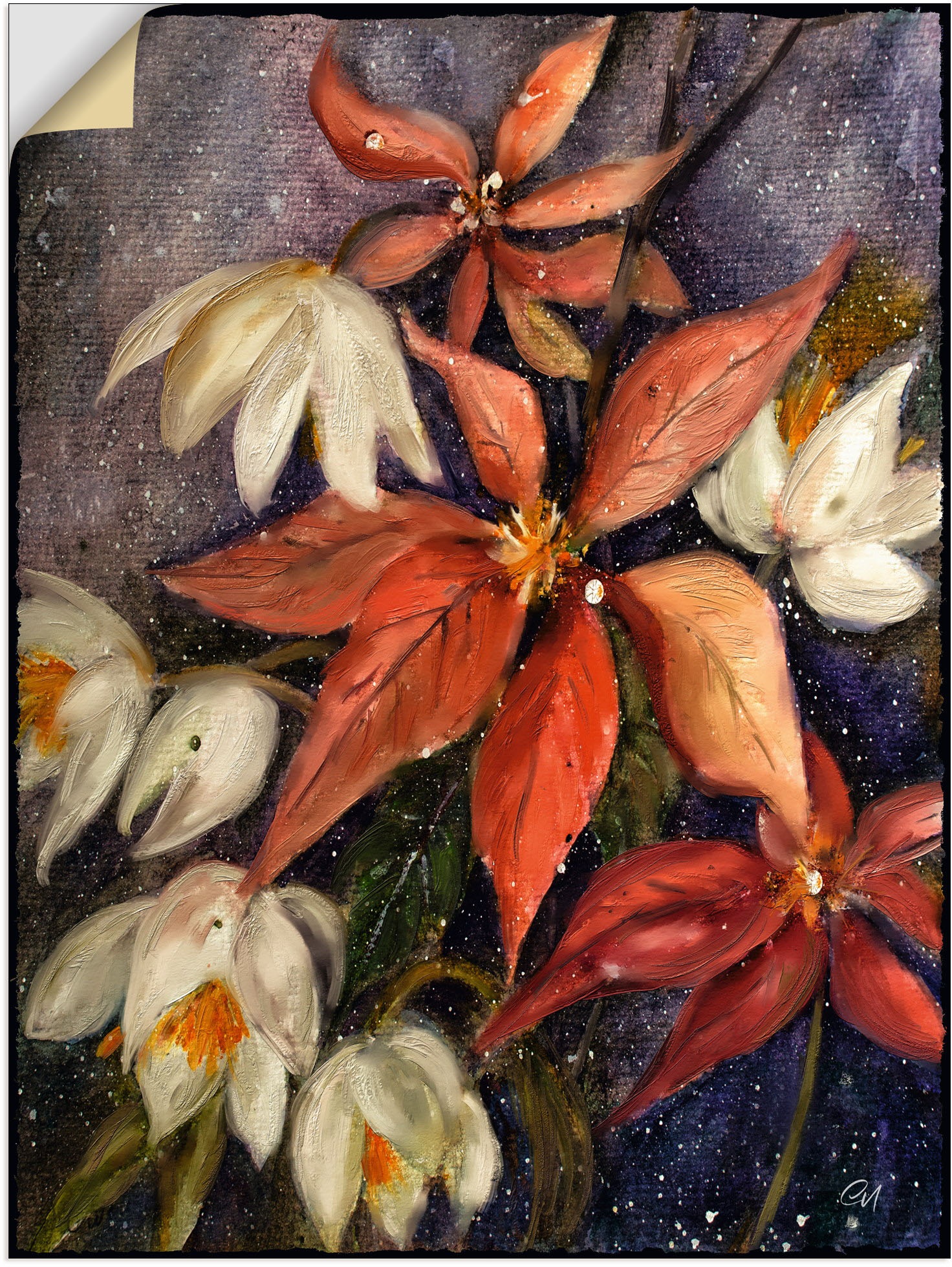 Image of Artland Wandbild »Weihnachtsstern mit Christrose«, Blumenbilder, (1 St.), in vielen Grössen & Produktarten - Alubild / Outdoorbild für den Aussenbereich, Leinwandbild, Poster, Wandaufkleber / Wandtattoo auch für Badezimmer geeignet bei Ackermann Versand S