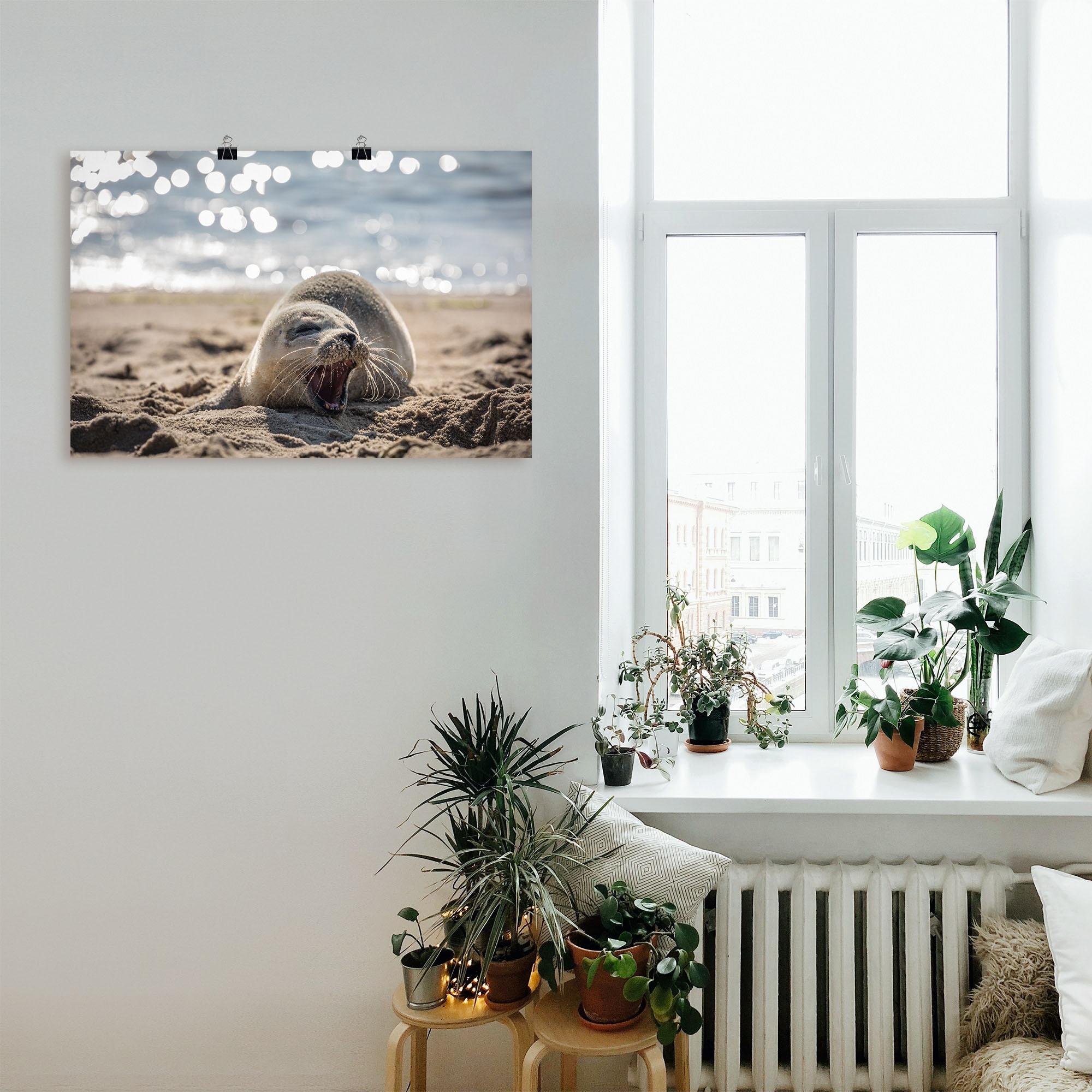 Artland Wandbild »Baby-Robbe am Strand von List, Sylt«, Robben, (1 St.), als Poster, Wandaufkleber in verschied. Grössen