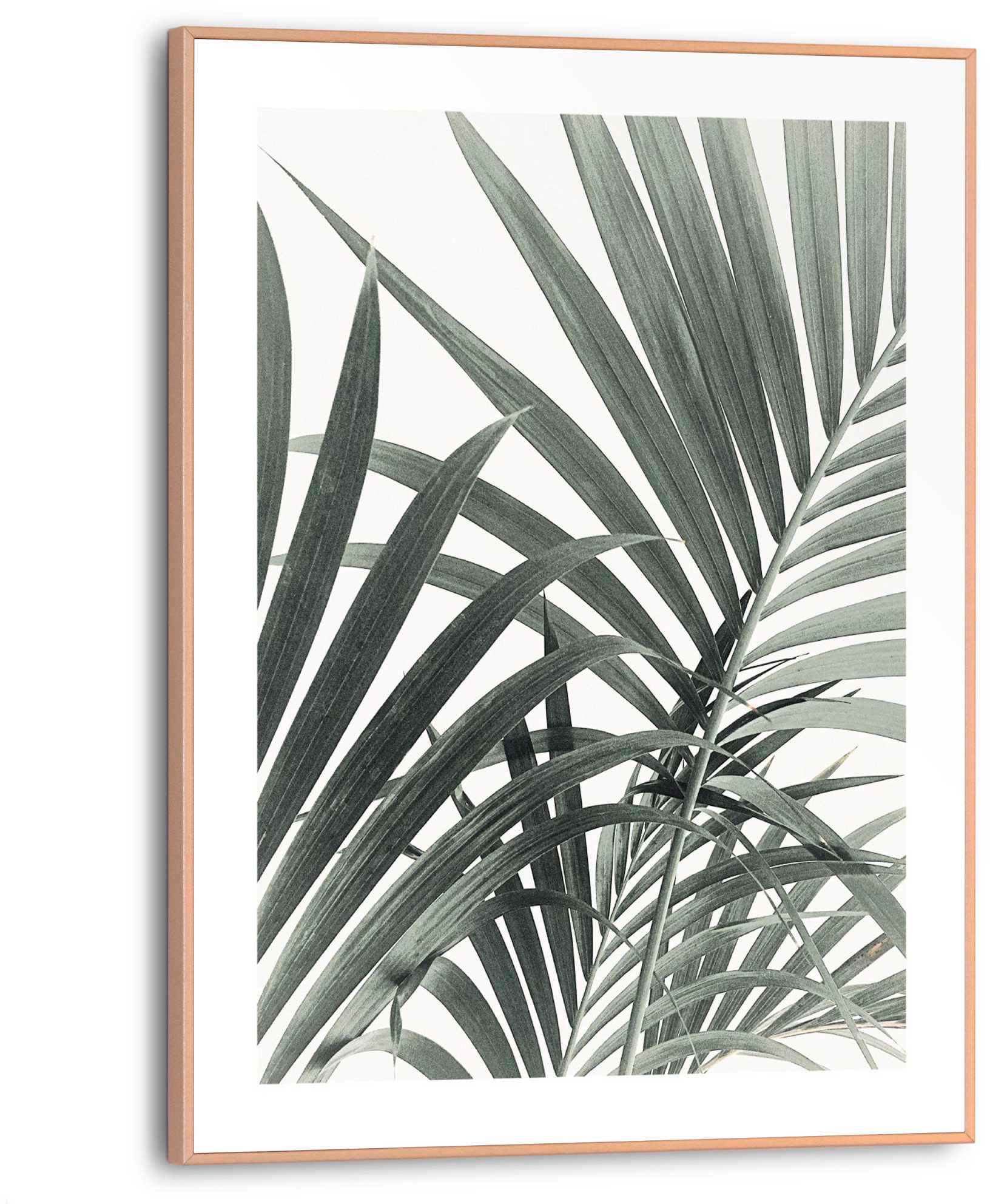 Image of Reinders Poster "Palmenblätter"