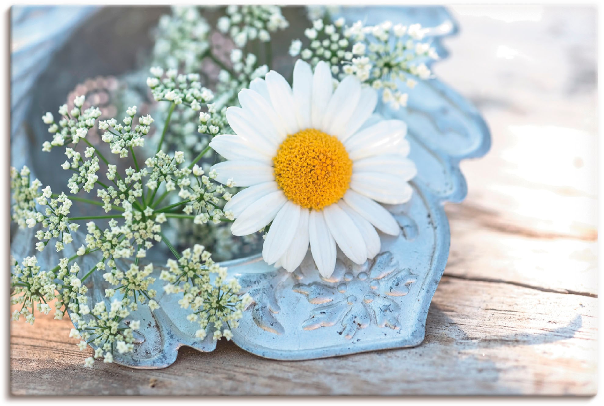 Image of Artland Leinwandbild "Zarte Margeriten Blüte" Blumen 1 Stk. tlg. auf Holzrahmen gespannt